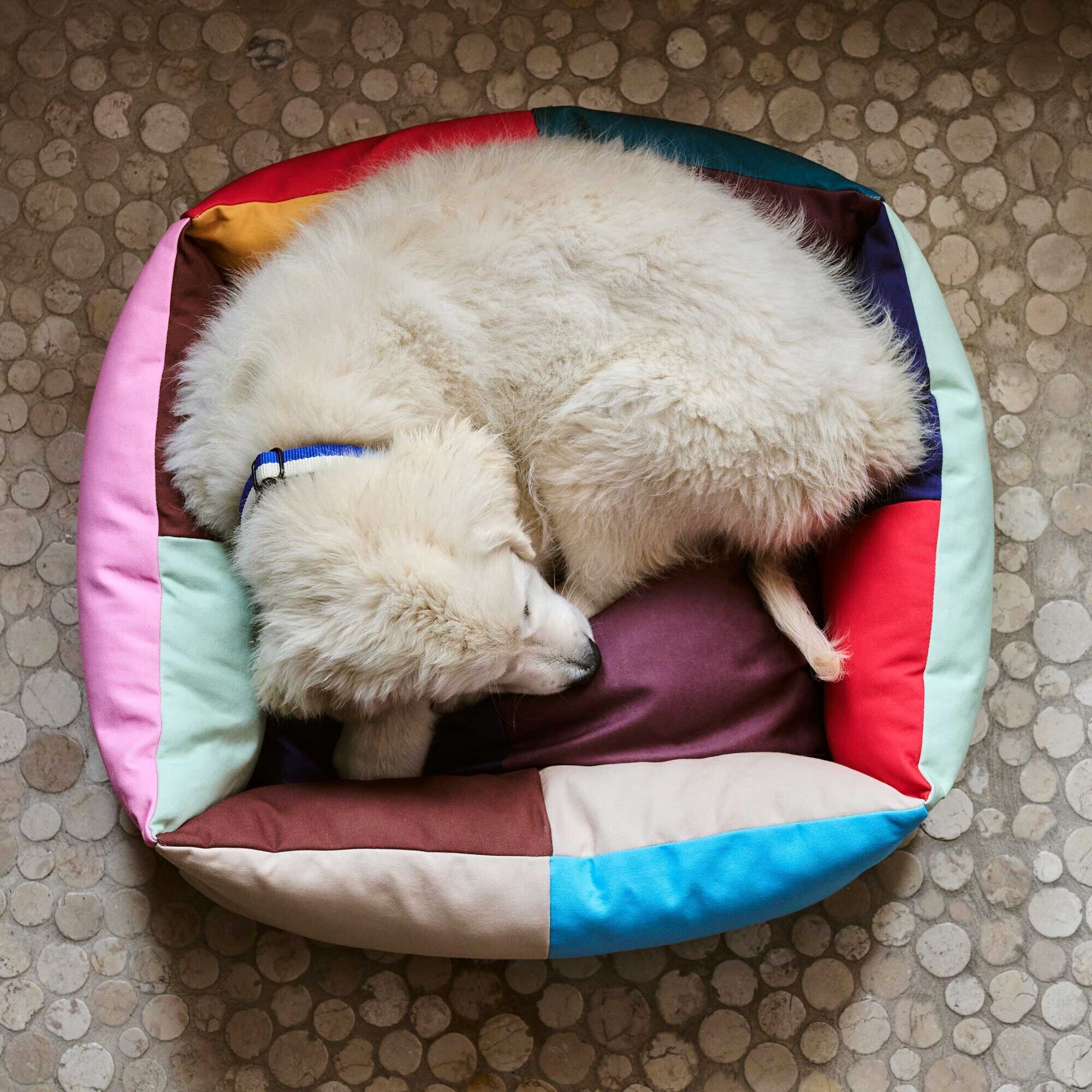 Dog Bed S