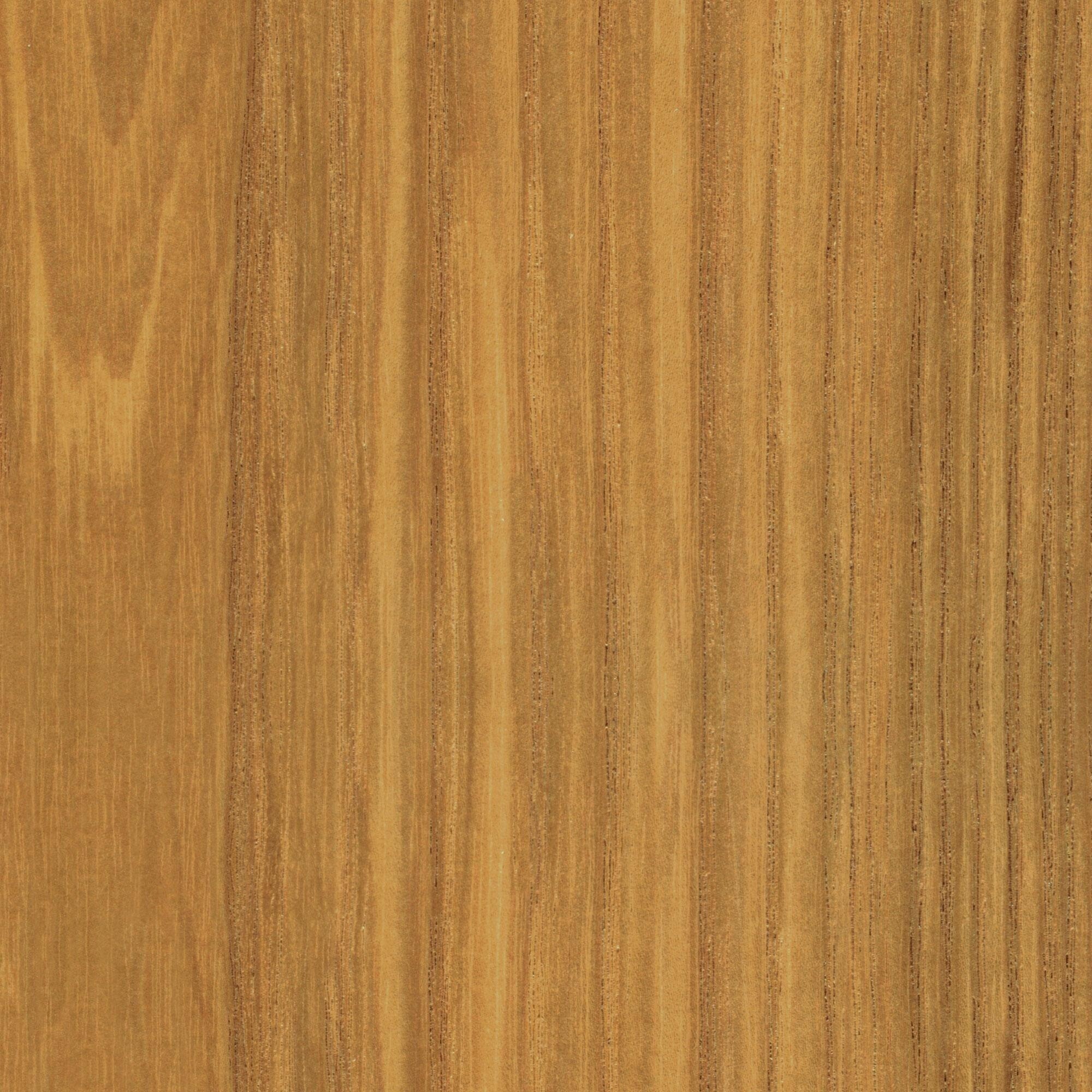 Eames Plastic Side Chair DSW Ash Base