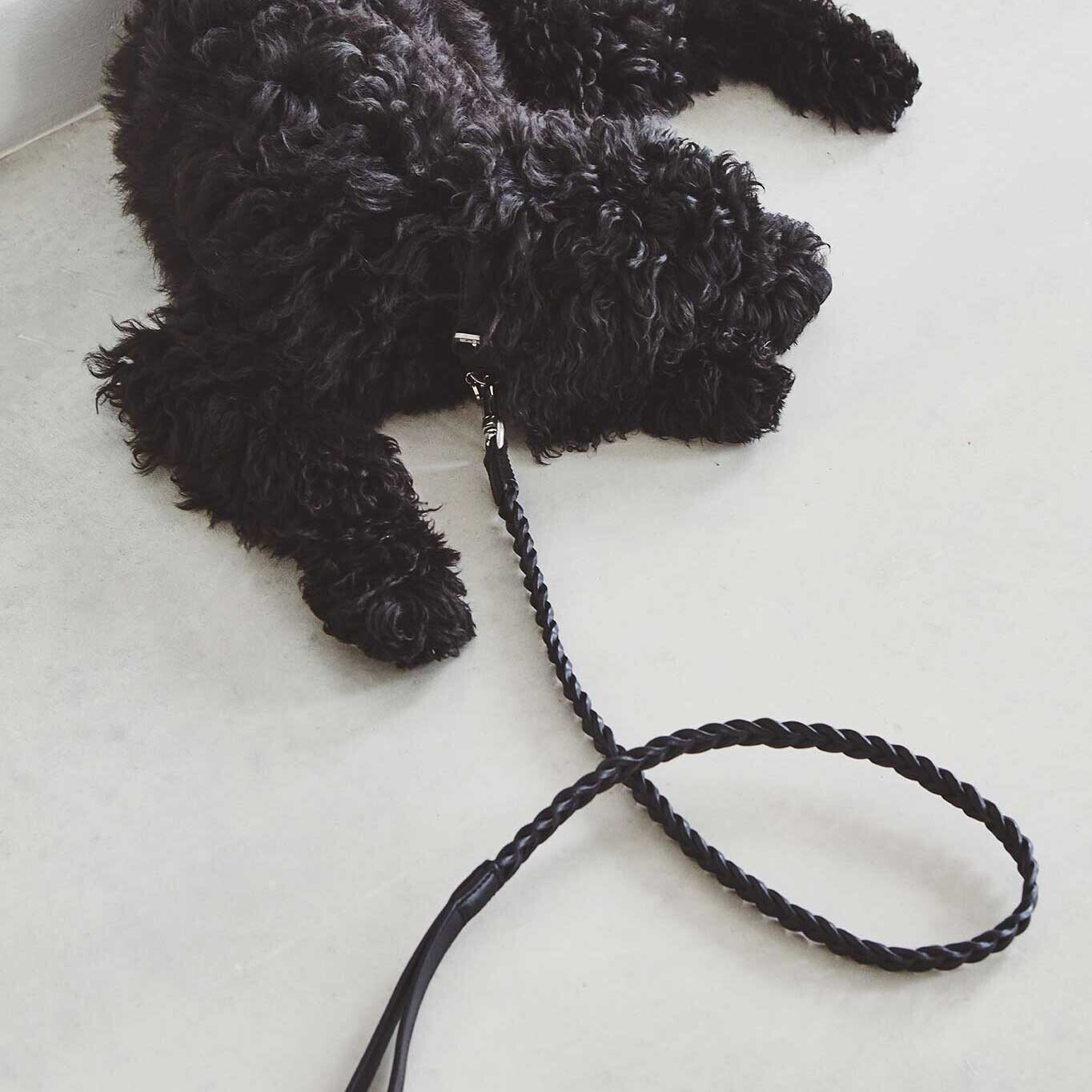 Bergamo Braided Dog Lead