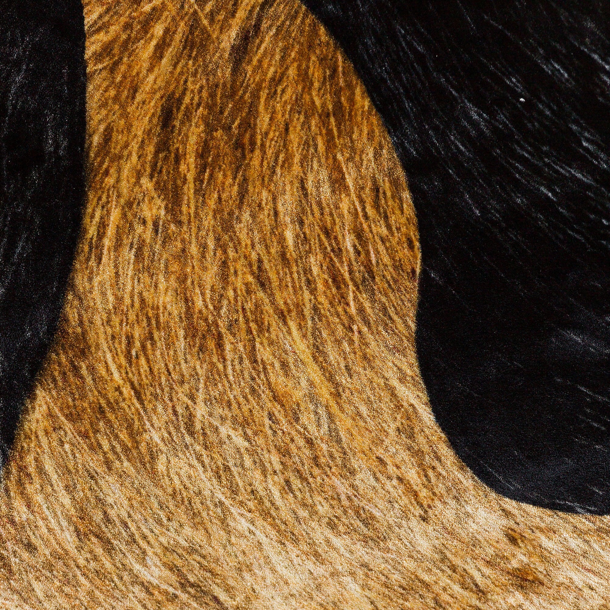 Bearded Leopard Carpet