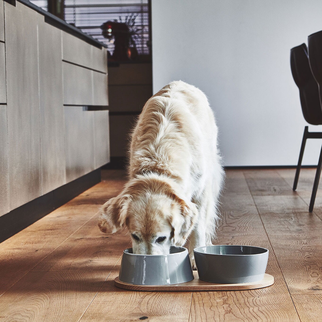 Doppio Set of 2 Dog Bowls with Wooden Tray SM
