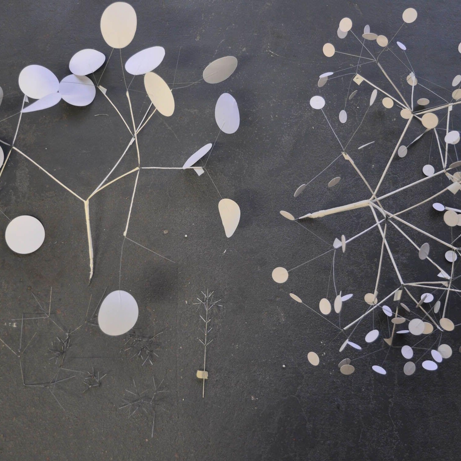 Heracleum III Small LED Suspension Lamp