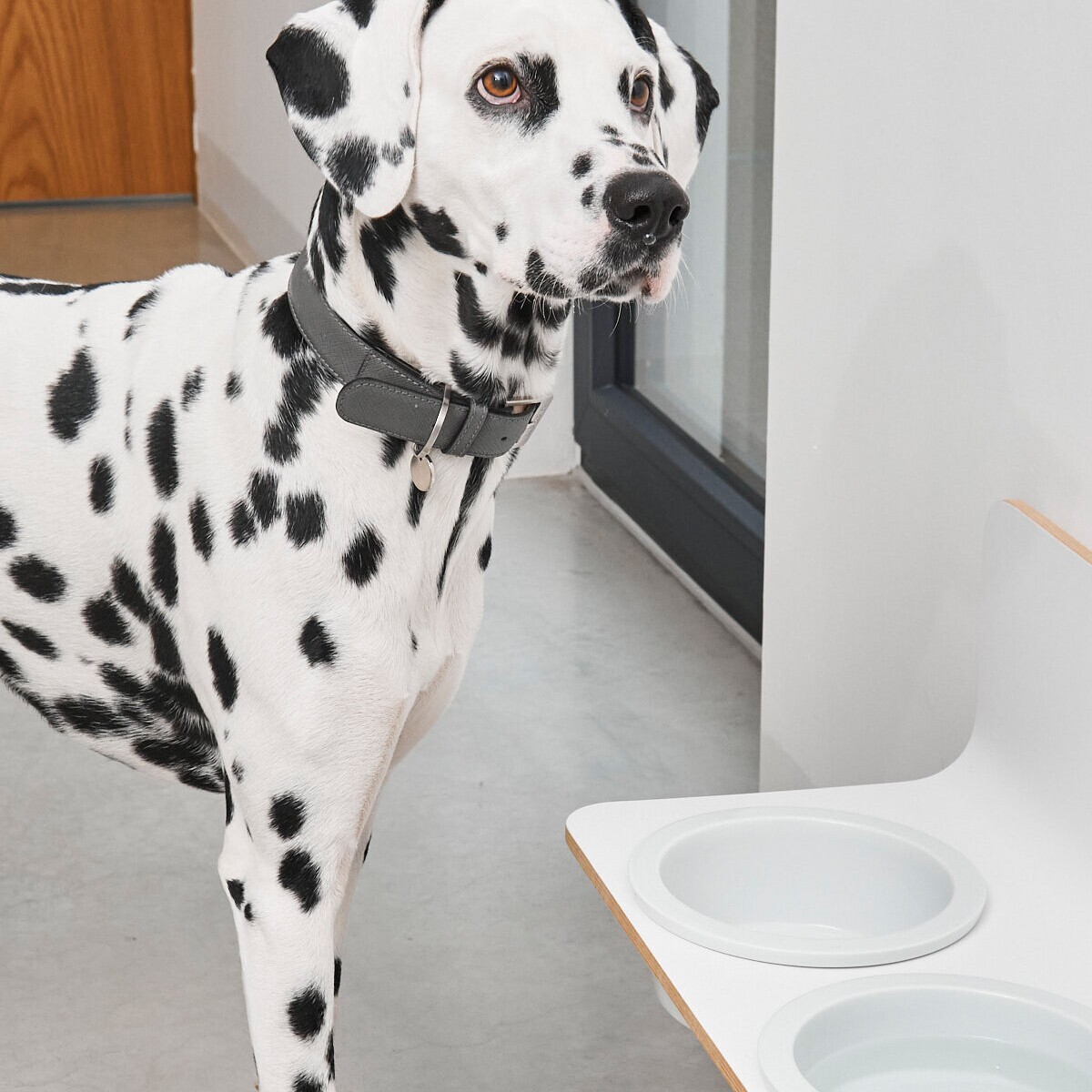 Arco Dog Bowl Holder ML with Porcelain Bowls