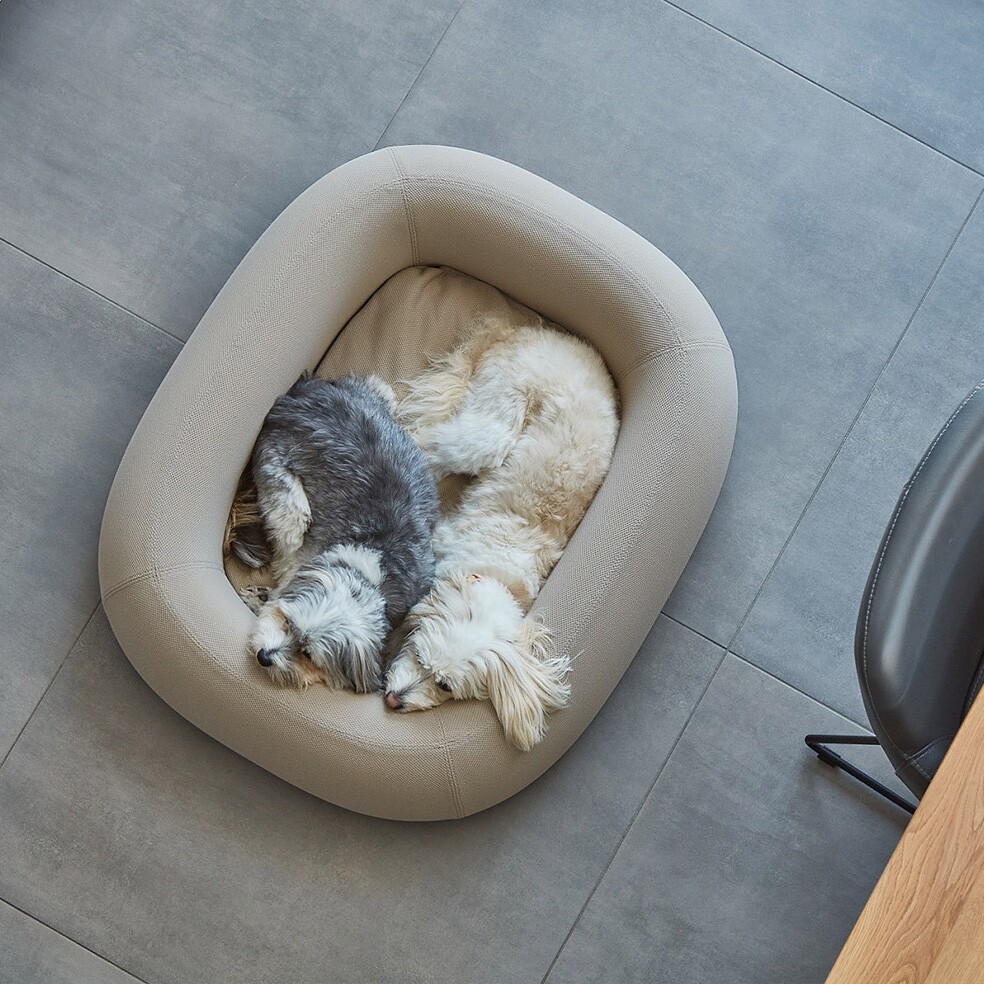 Barca Dog Bed ML