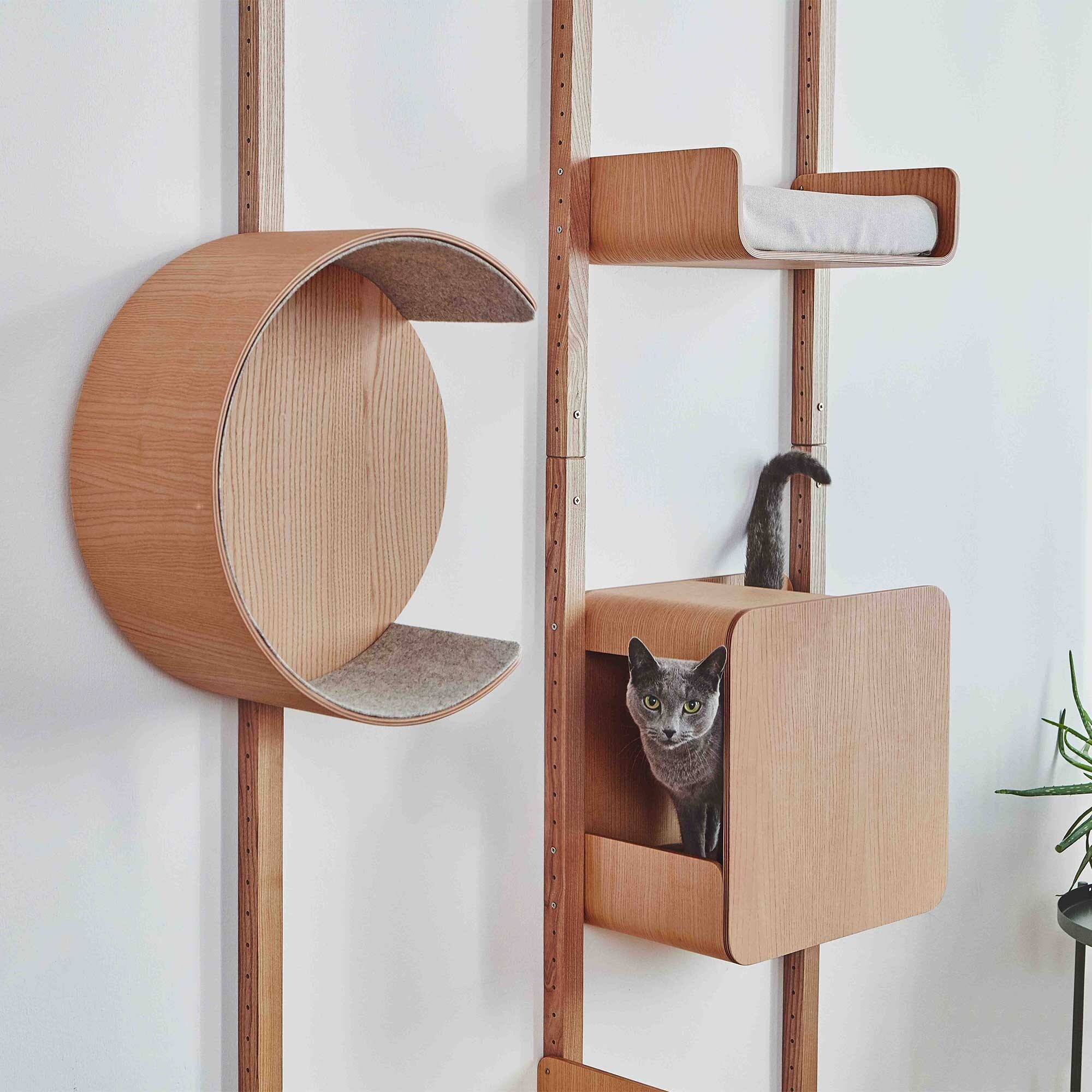 Alto Climbing Wall Cat's Nest