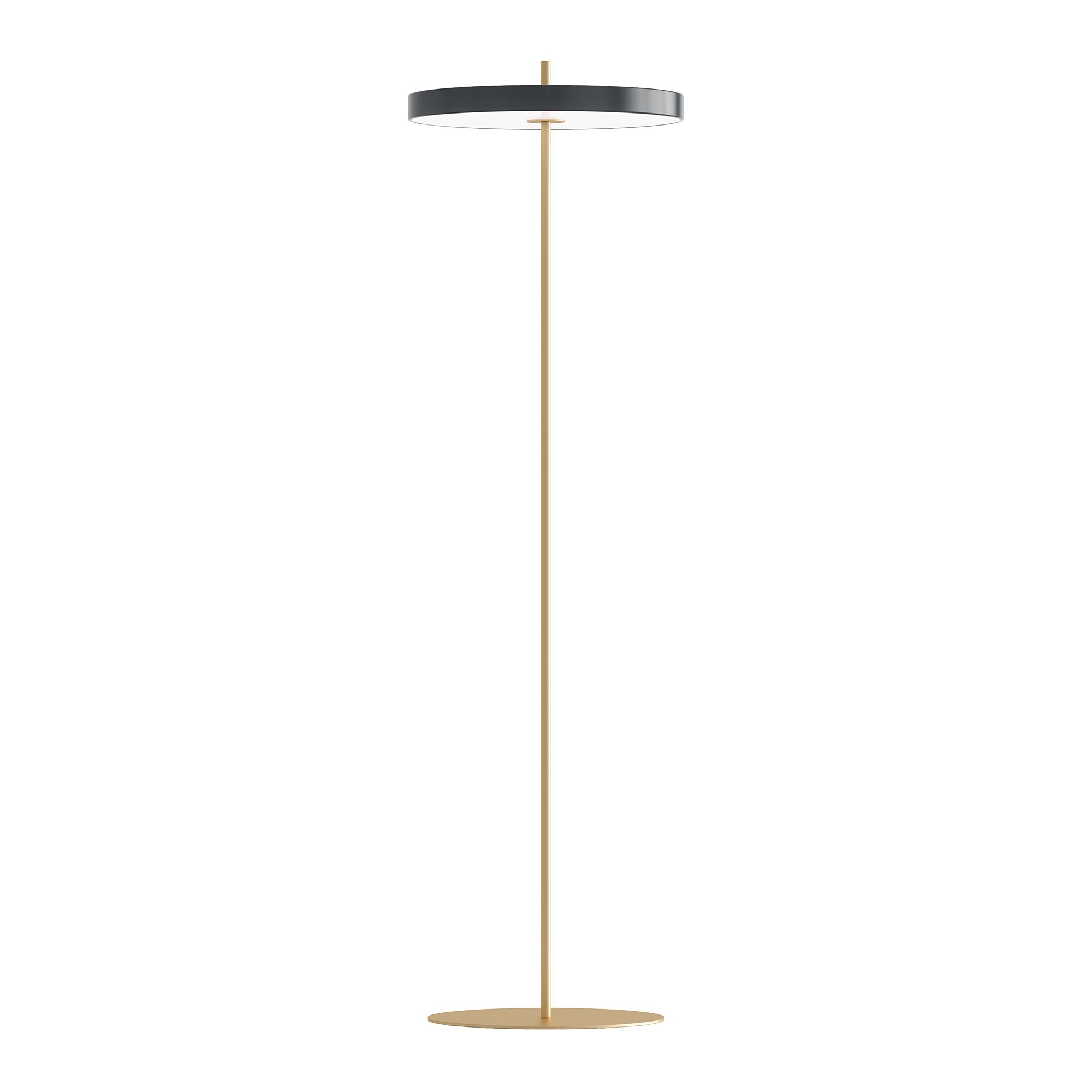 Asteria LED Floor Lamp