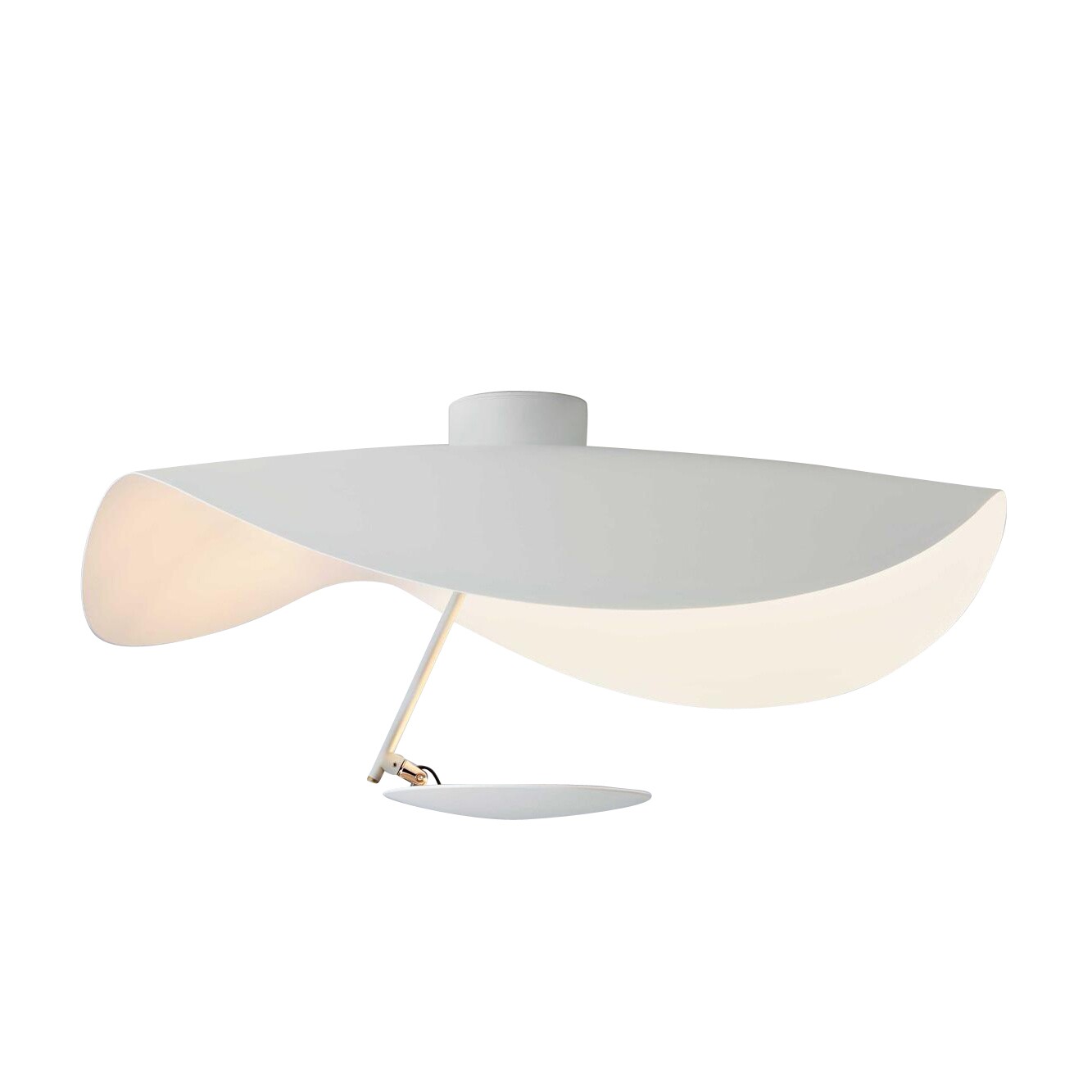 Lederam Manta CWS1 LED Ceiling Lamp/Wand Lamp