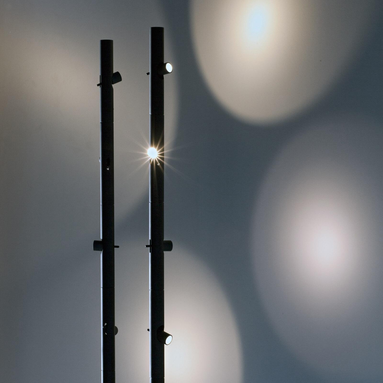 Colibrì LED Floor Lamp