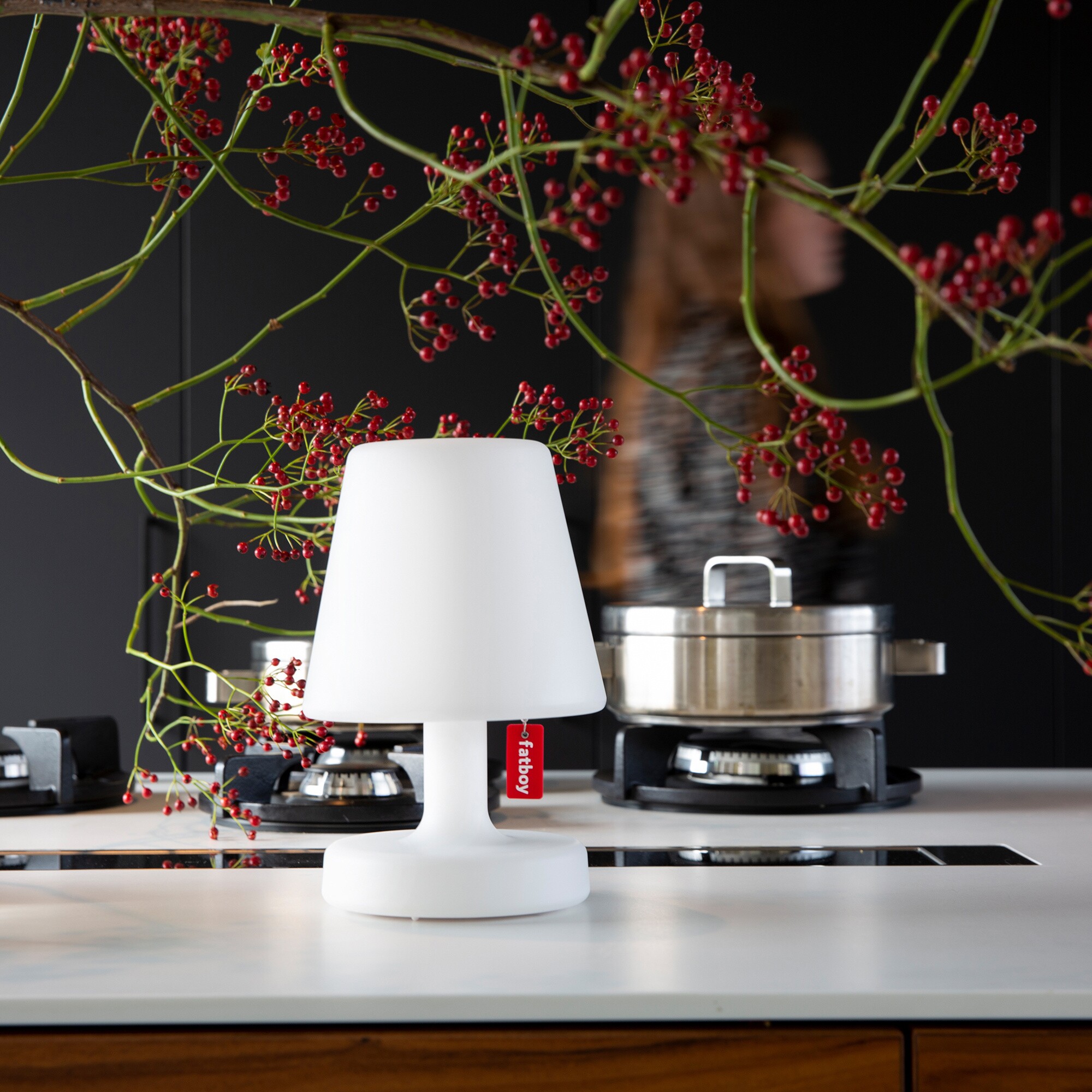 Edison the Petit Duo Pack LED Lamp with Battery Set of 2