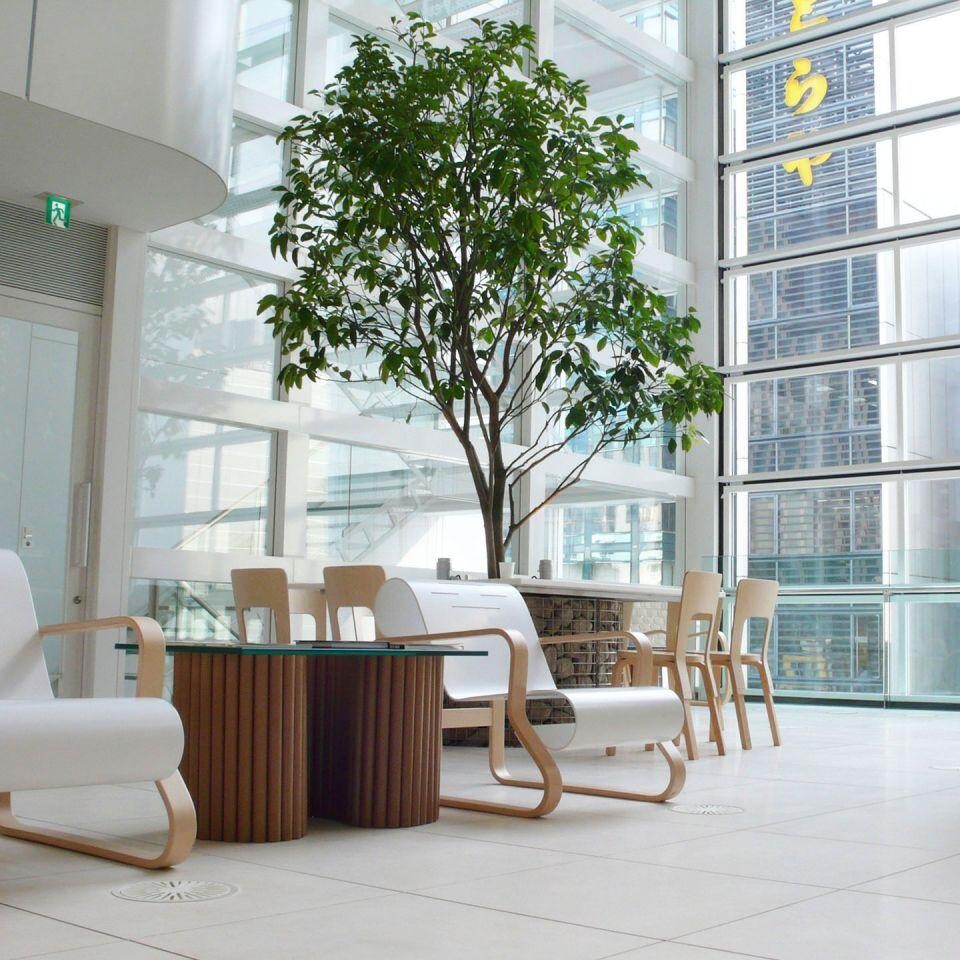 66 Chair Clear Lacquered Base