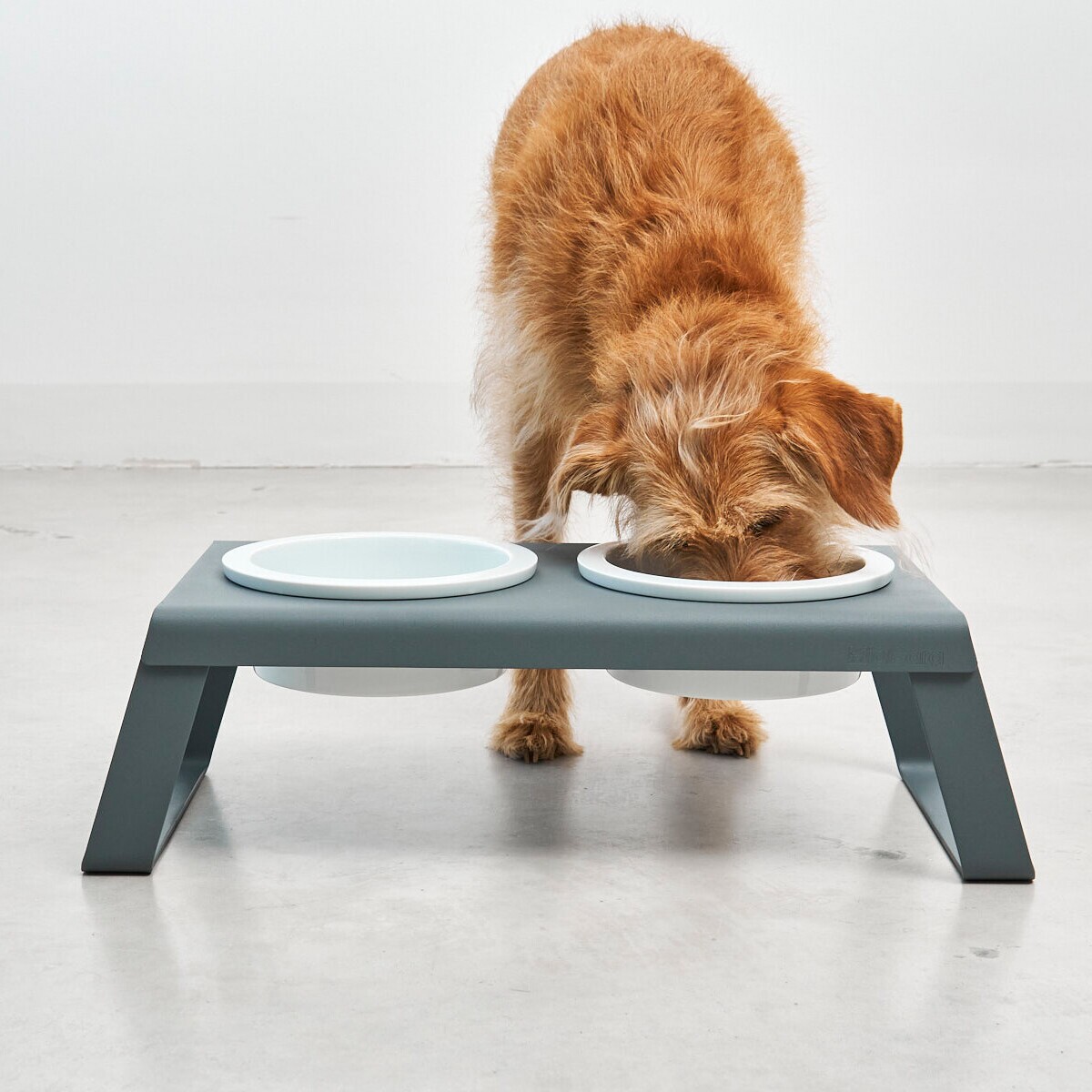 Desco Dog Bowl Stand with Porcelain Bowls M