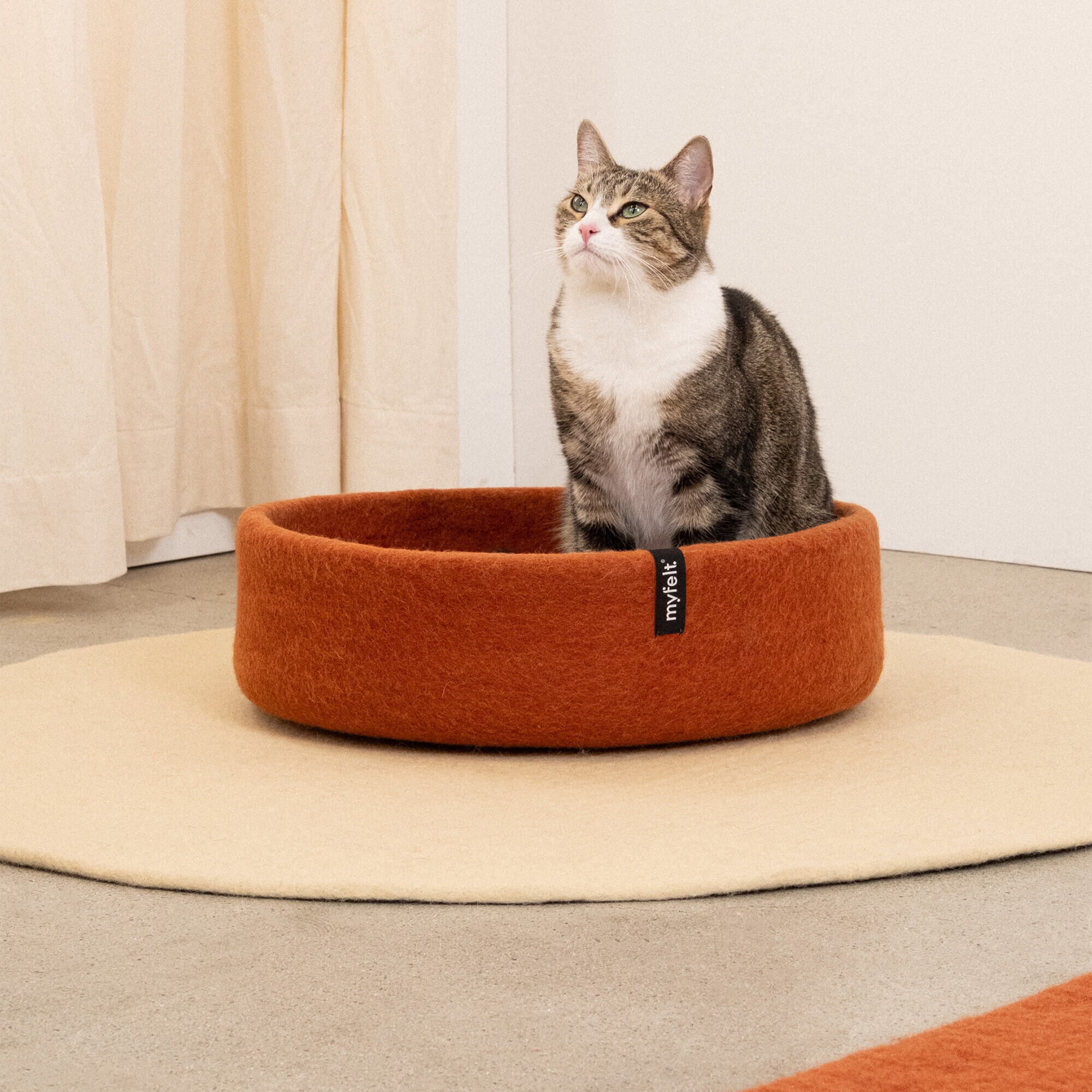 Lora Cat Basket