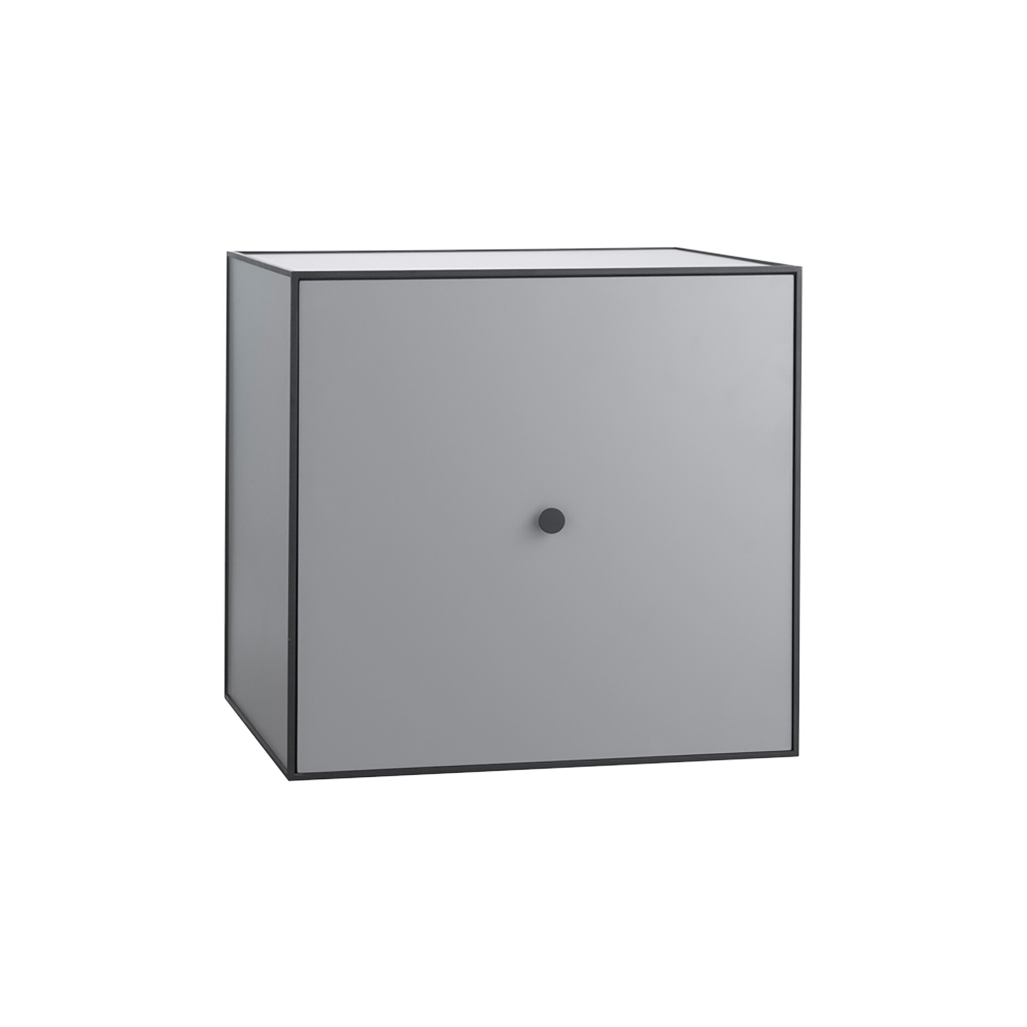 Frame 49 Modul with Door