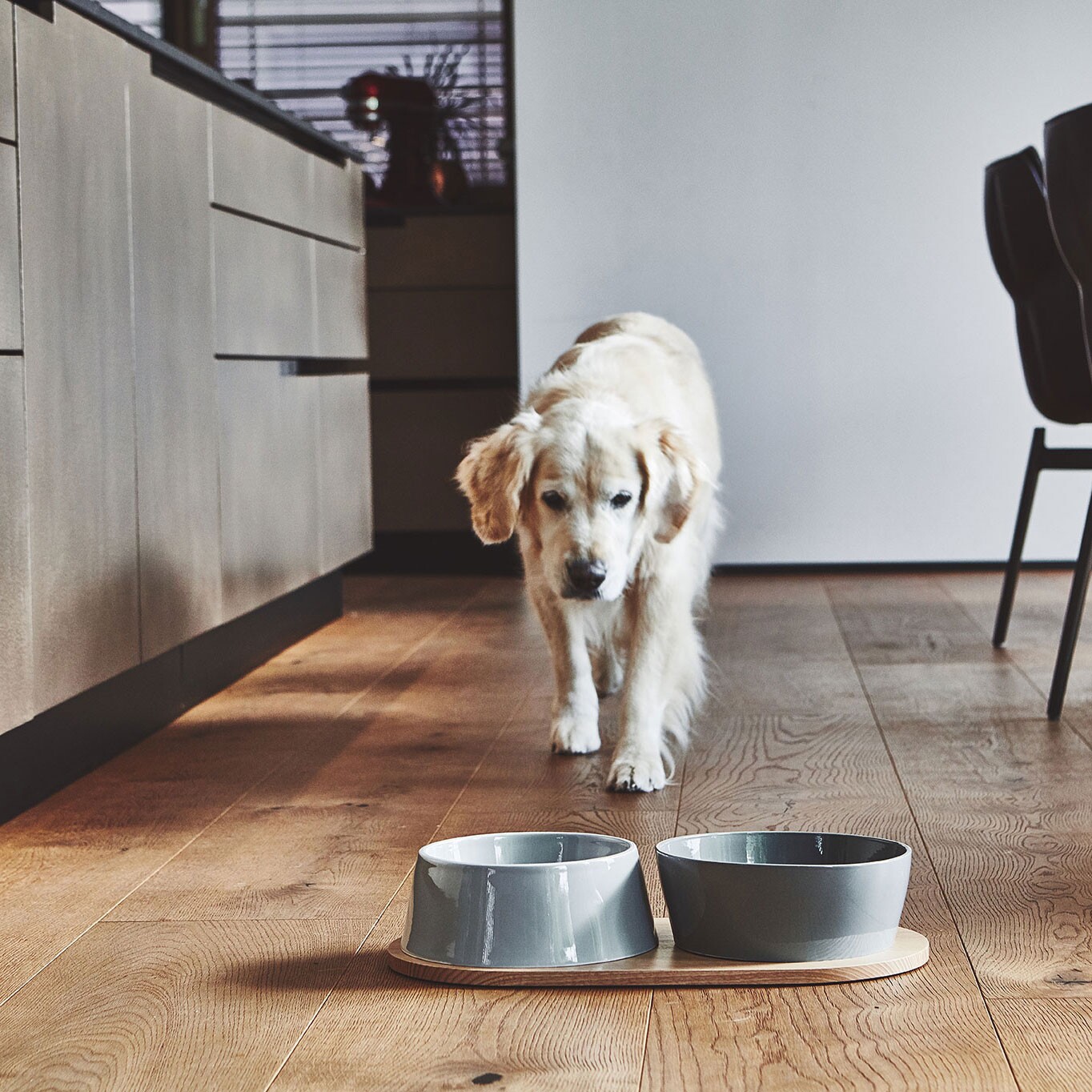 Doppio Set of 2 Dog Bowls with Wooden Tray SM
