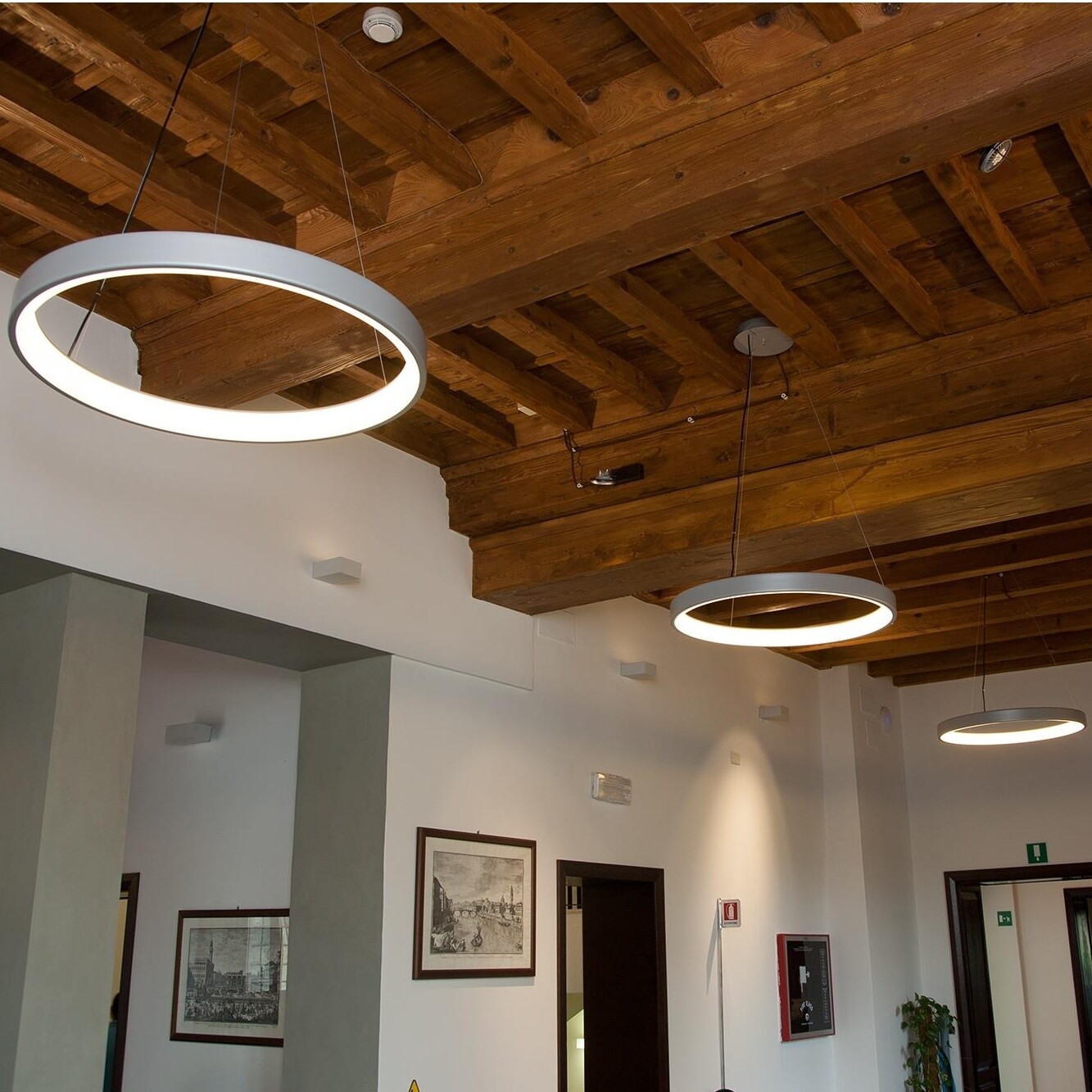Lunaop 2086 LED Suspension Lamp