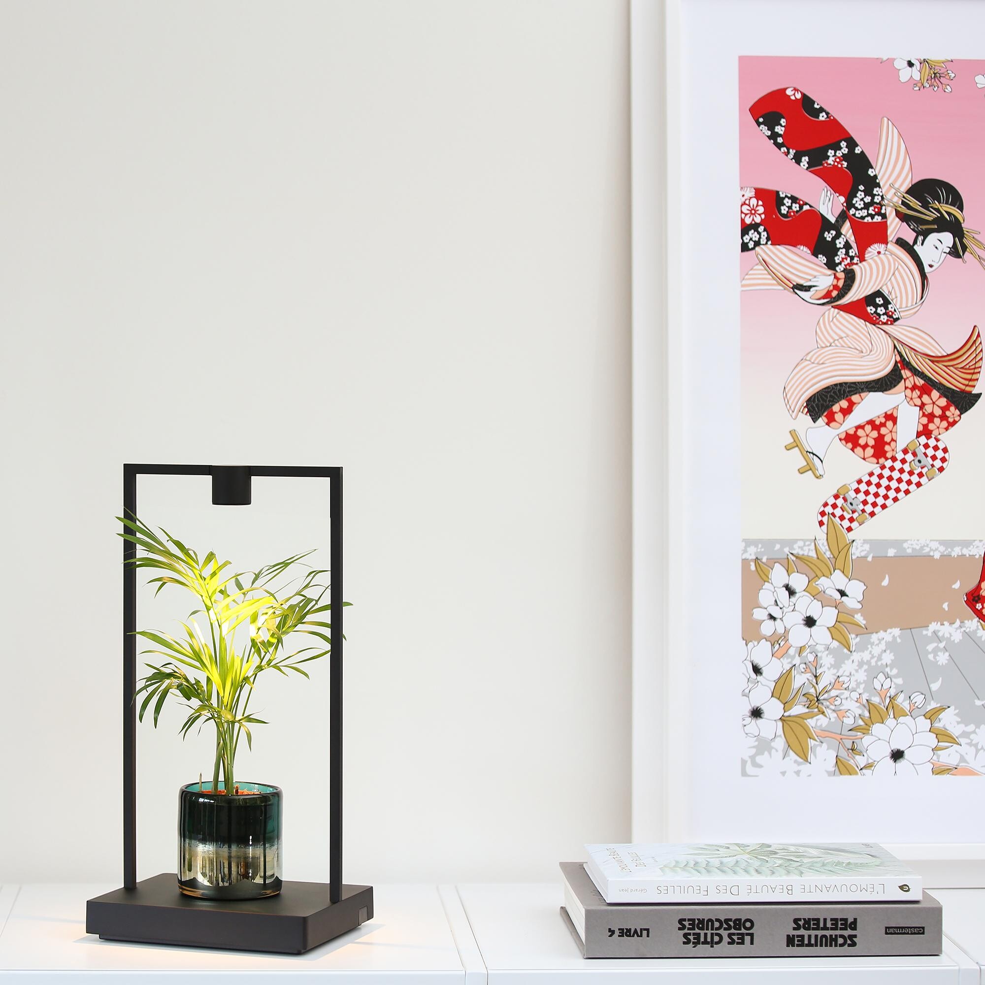 Curiosity 45 LED Table Lamp with Battery