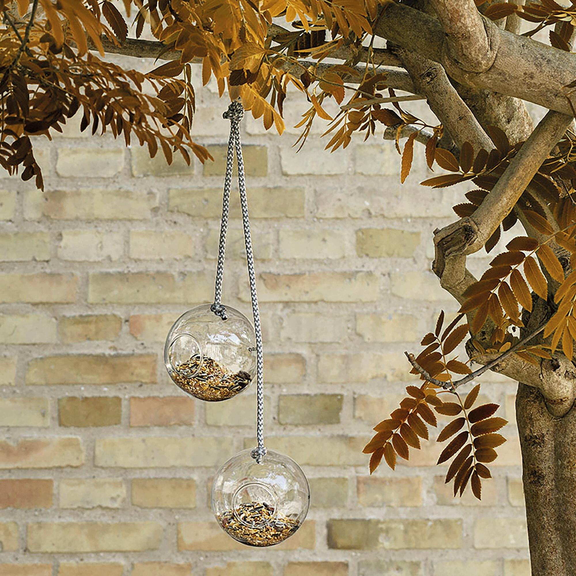 Glass Bird Feeders Set of 2 Ø 10cm