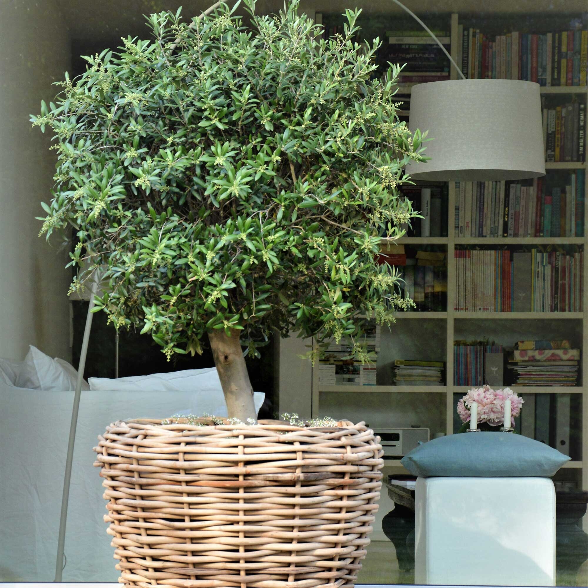 Palau Basket Ø 83cm