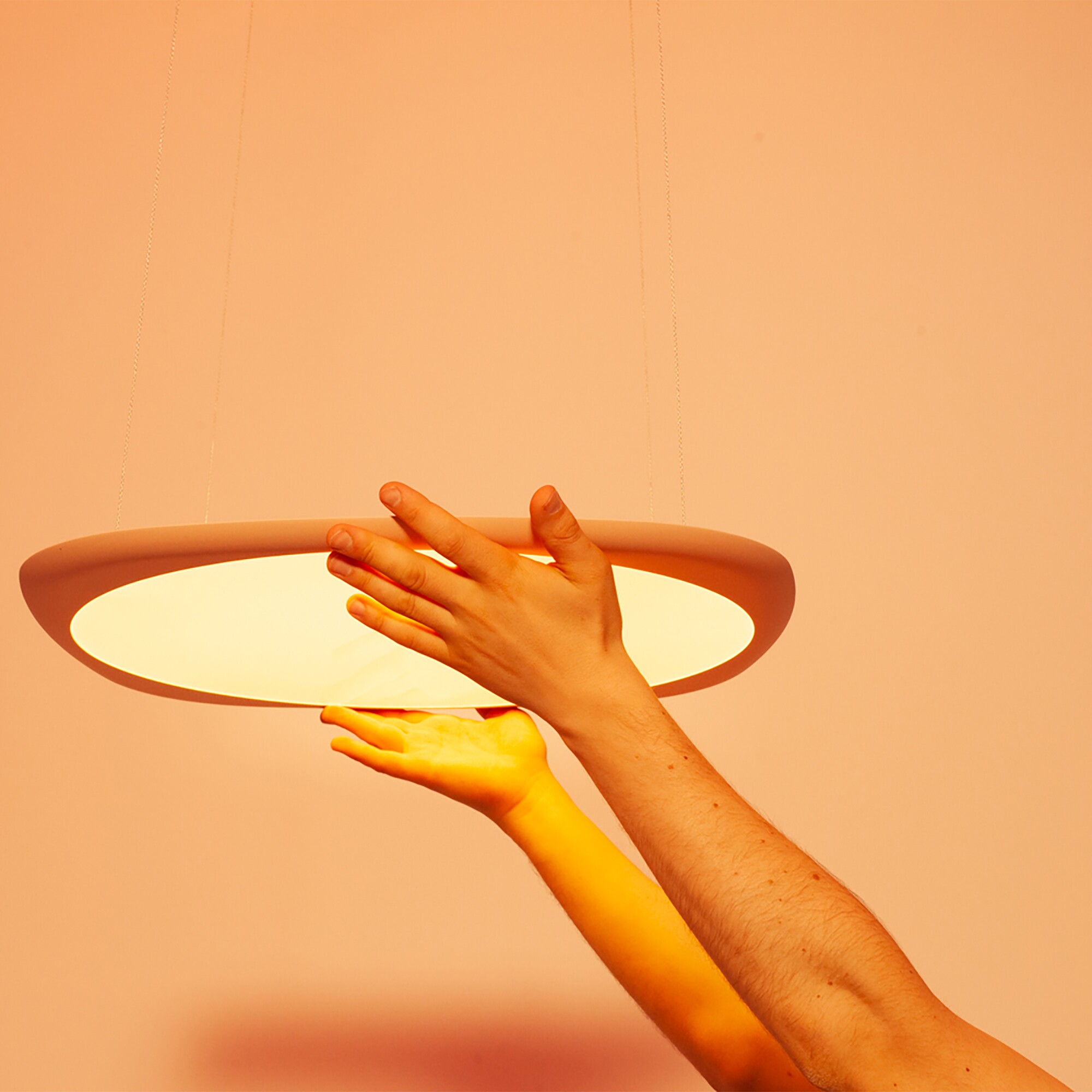 Flying LED Suspension Lamp