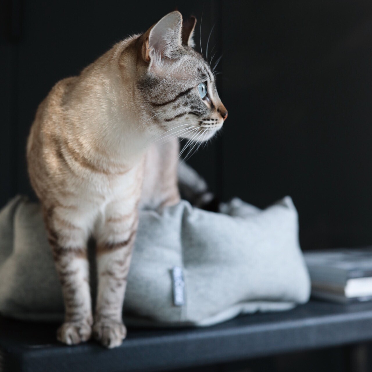 Calma Hexagon Cat Bed