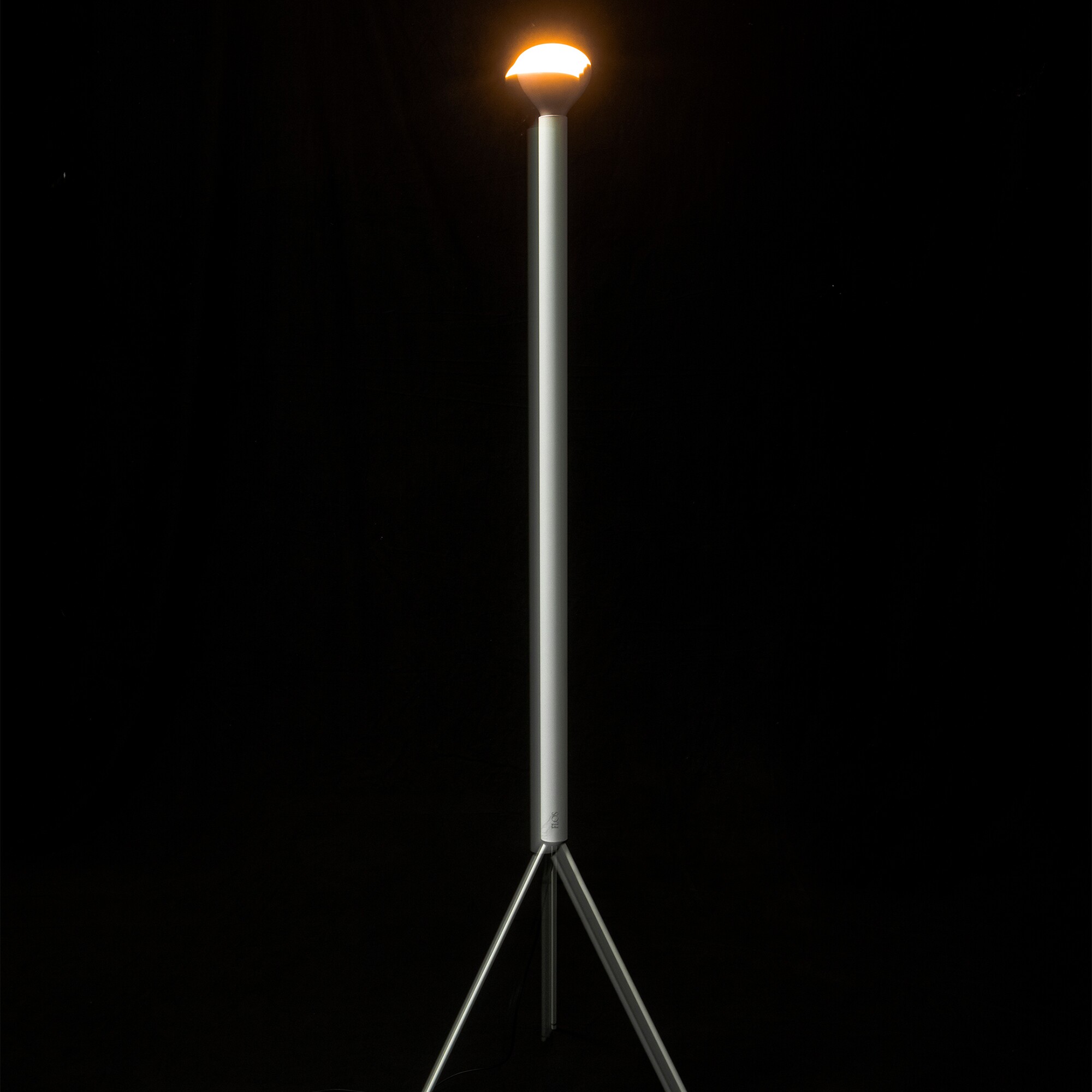 Luminator Floor Lamp