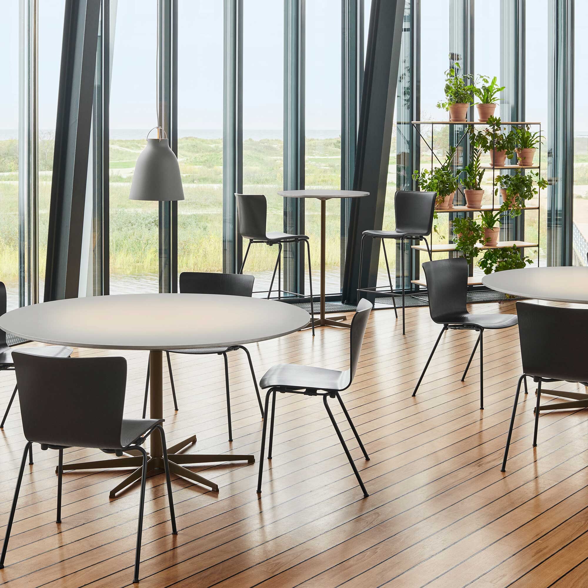 Caravaggio™ P2 Suspension Lamp Matt