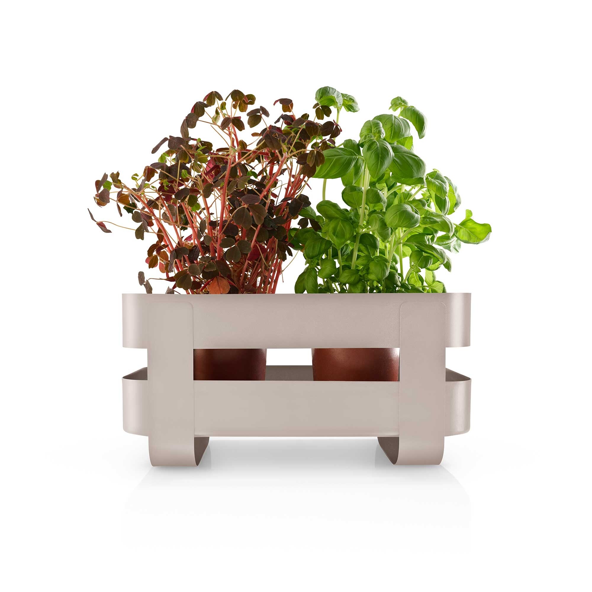Herb Organiser with self-watering