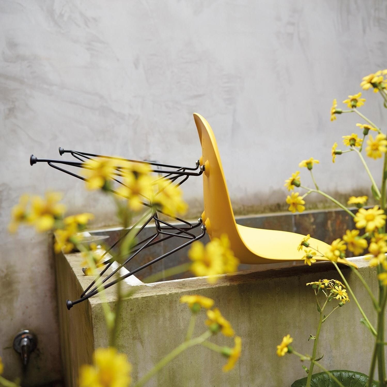 Eames Plastic Side Chair DSR RE Black Base