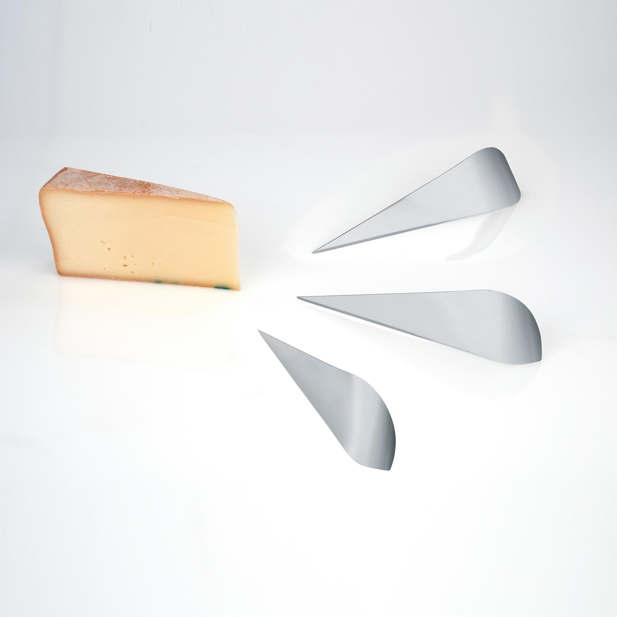 Antechinus Chesse Knife