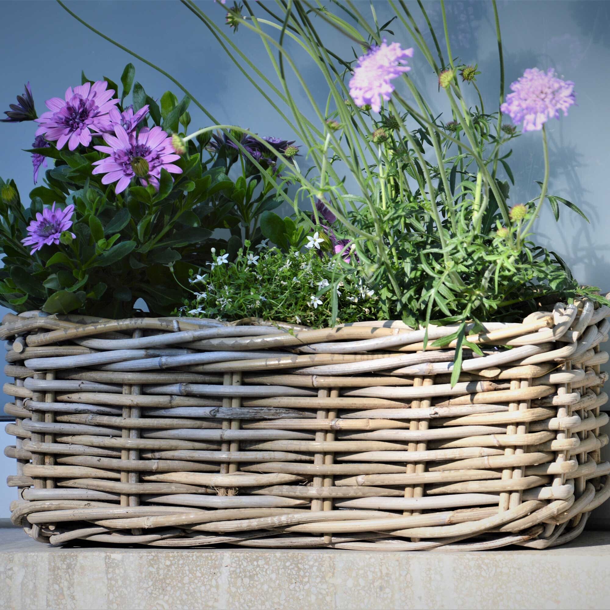 Palau Basket 50x26x18cm
