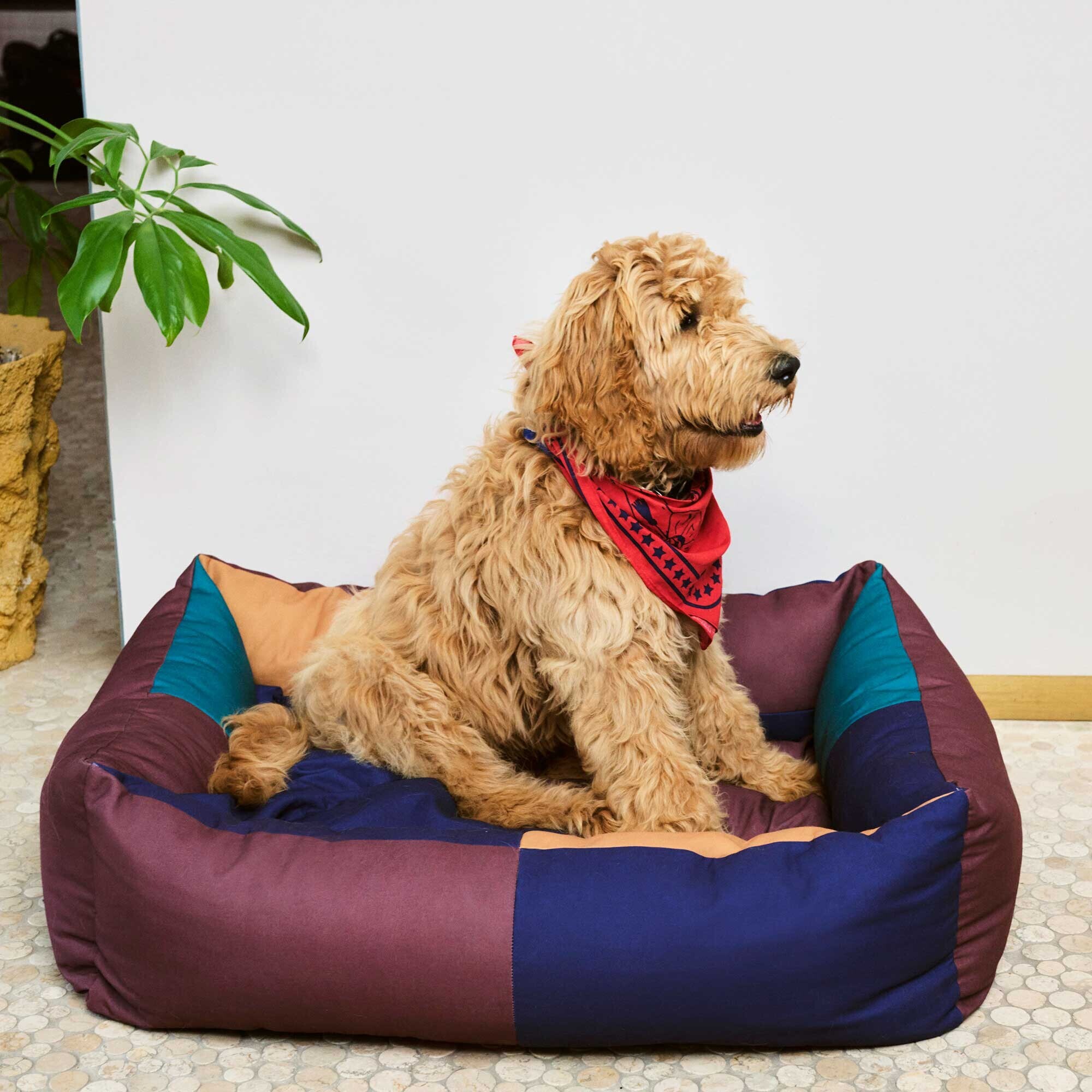 Dog Bed L