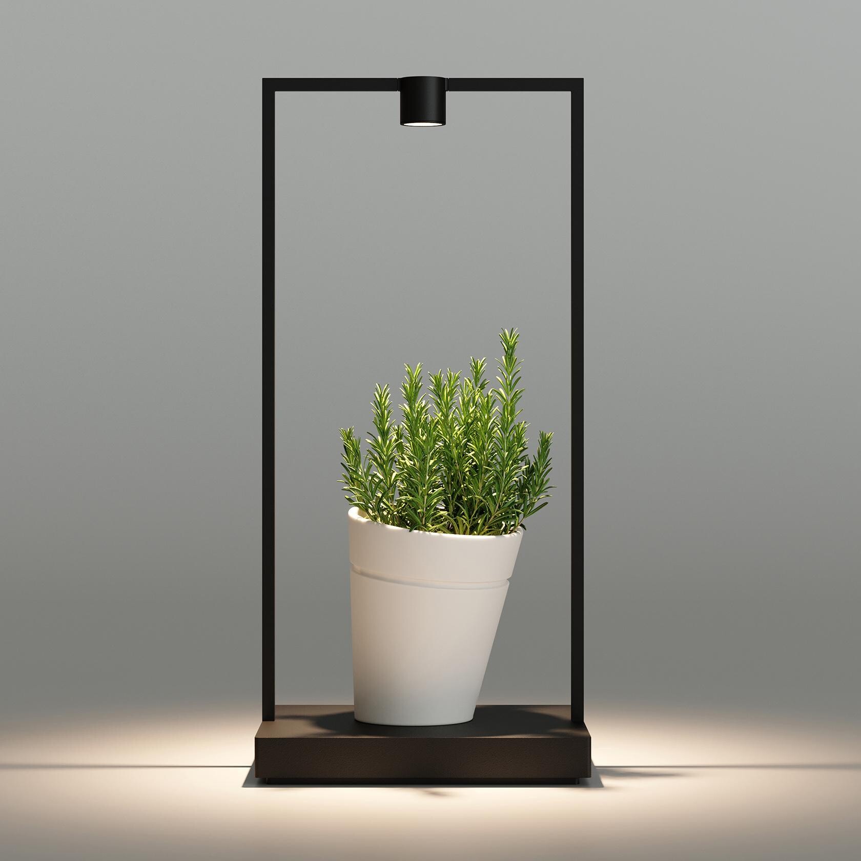 Curiosity 45 LED Table Lamp with Battery