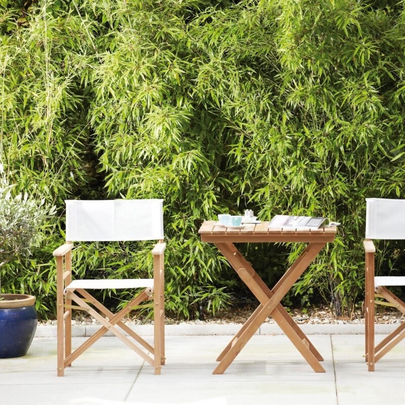 Maxx Director's Chair Set of 2