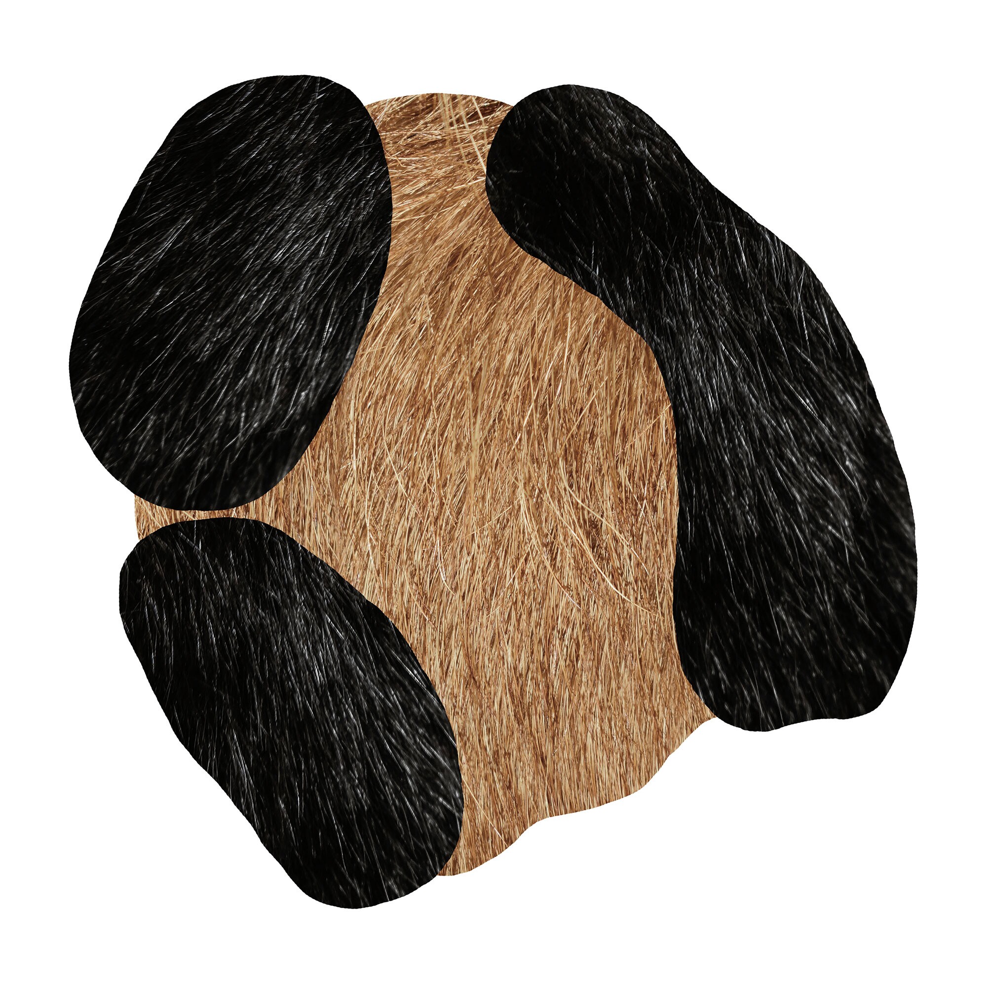 Bearded Leopard Carpet