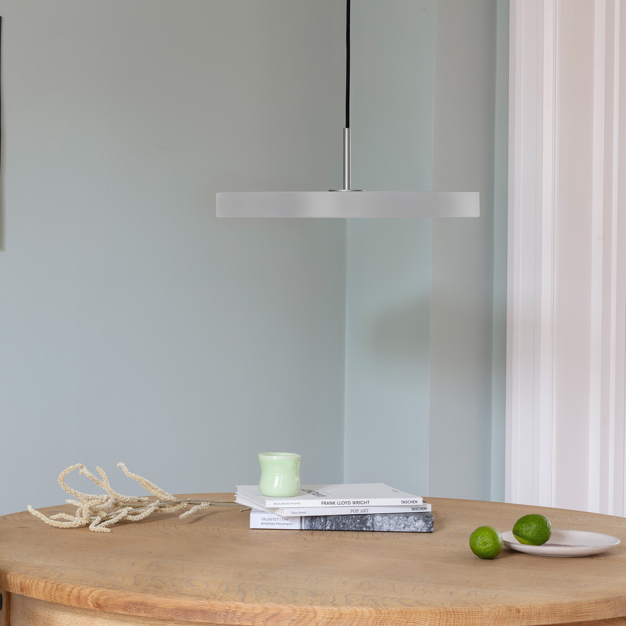 Asteria LED Suspension Lamp Steel