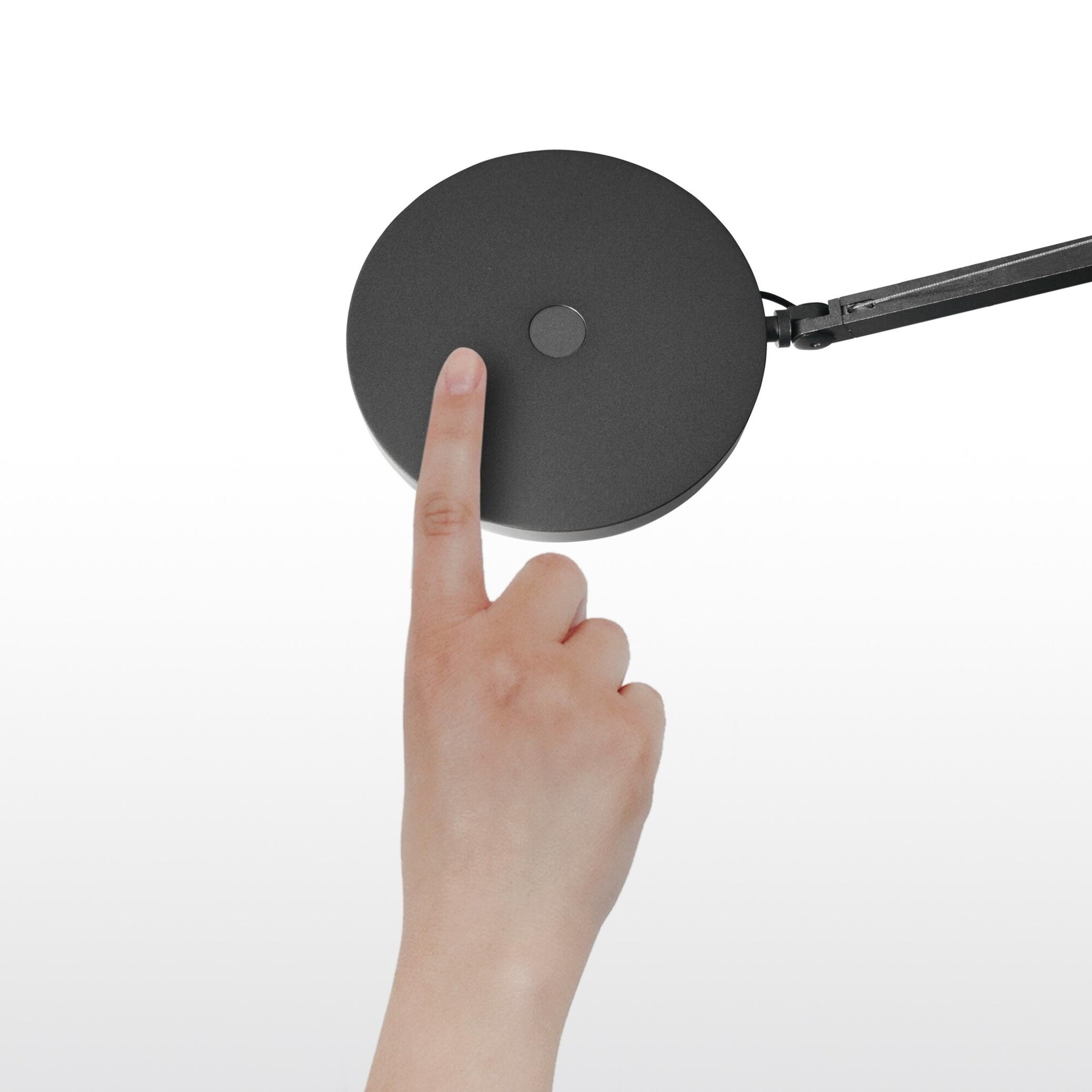 Demetra LED Desk Lamp