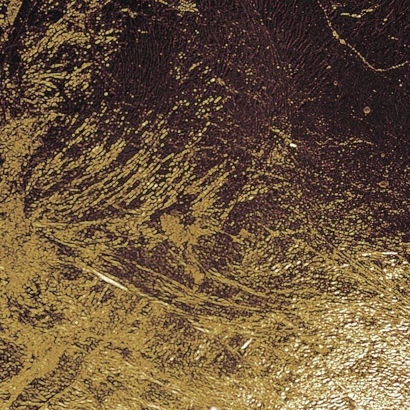 Lederam F2 LED Floor Lamp