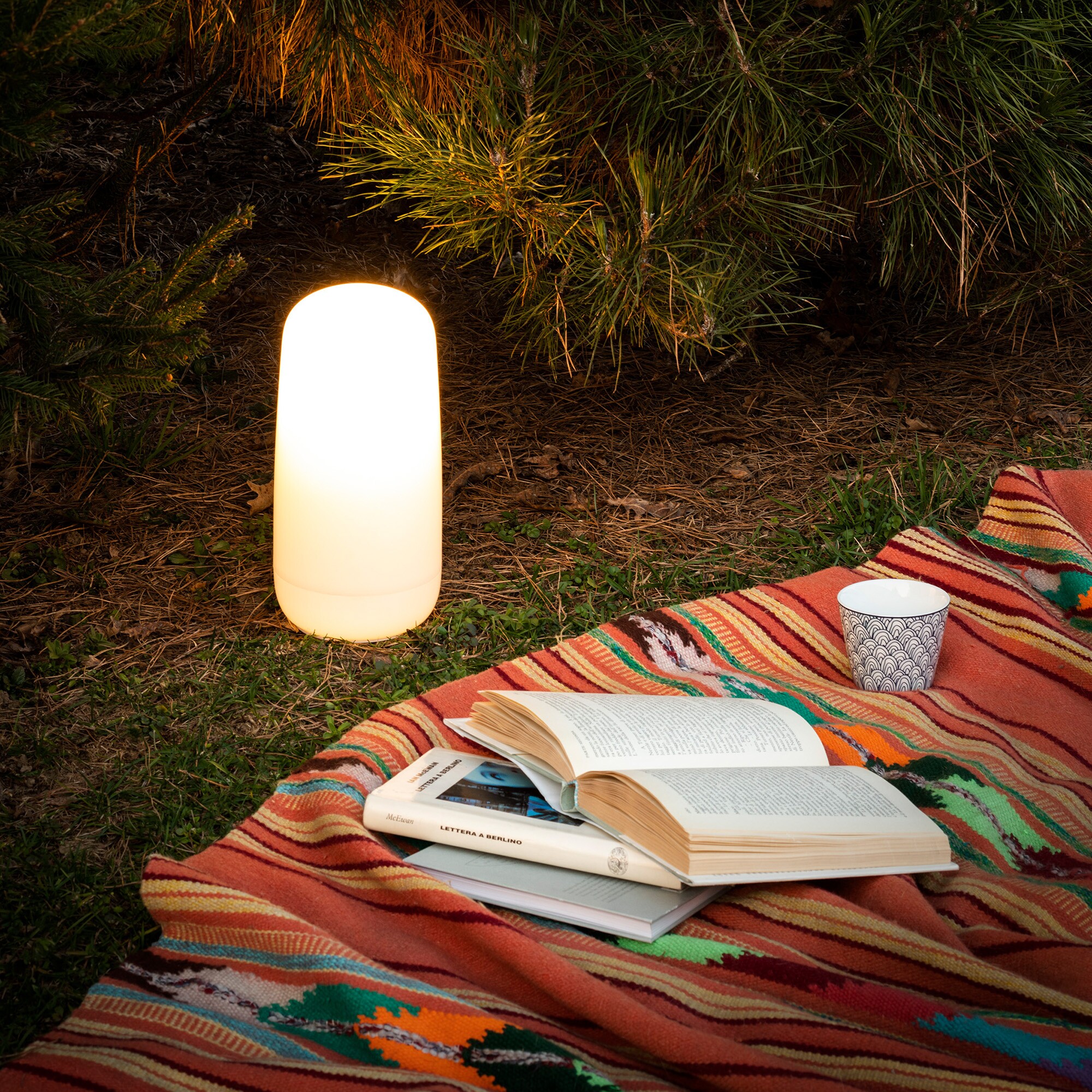 Gople Portable LED Table Lamp with Battery