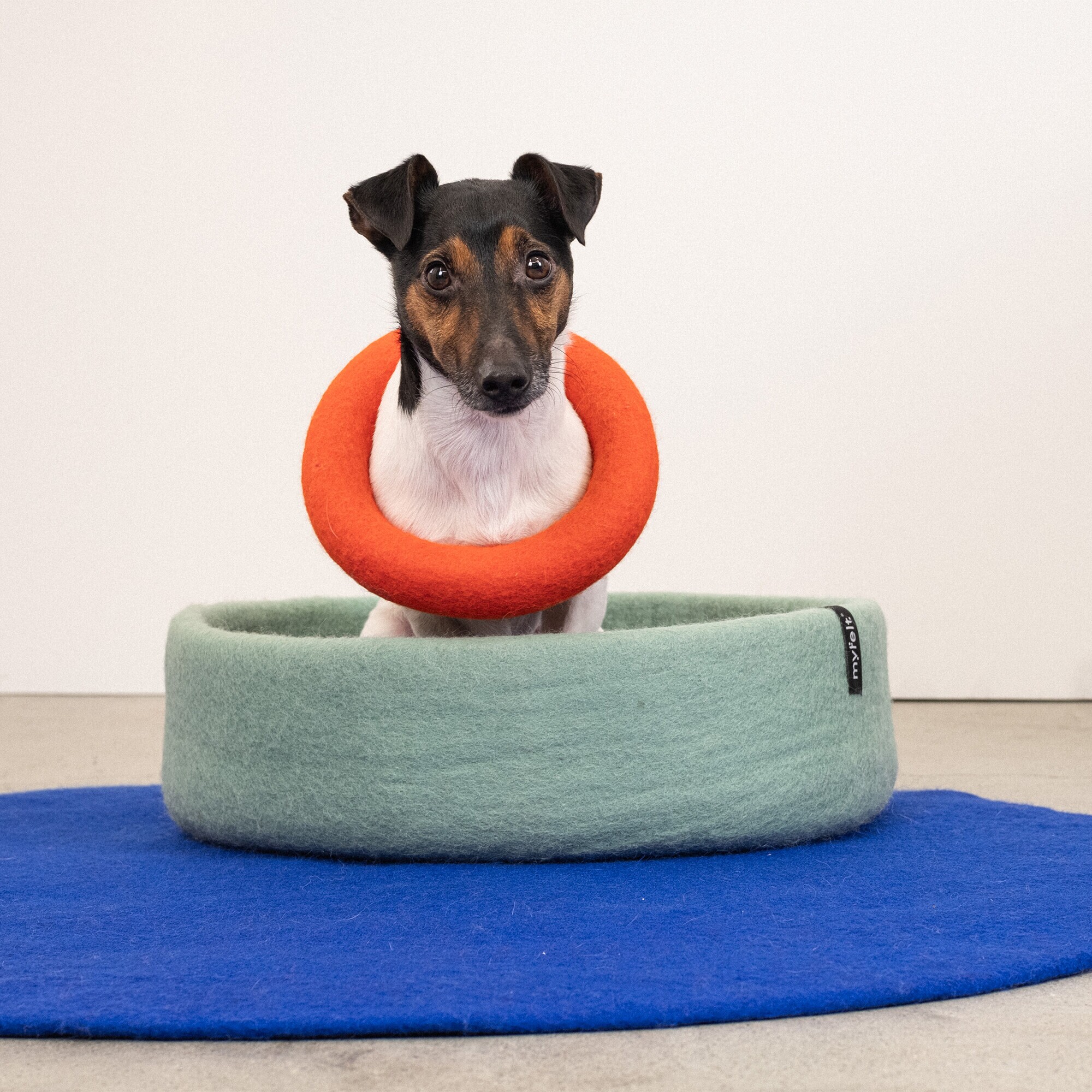 Fine Dog Basket Ø 40cm