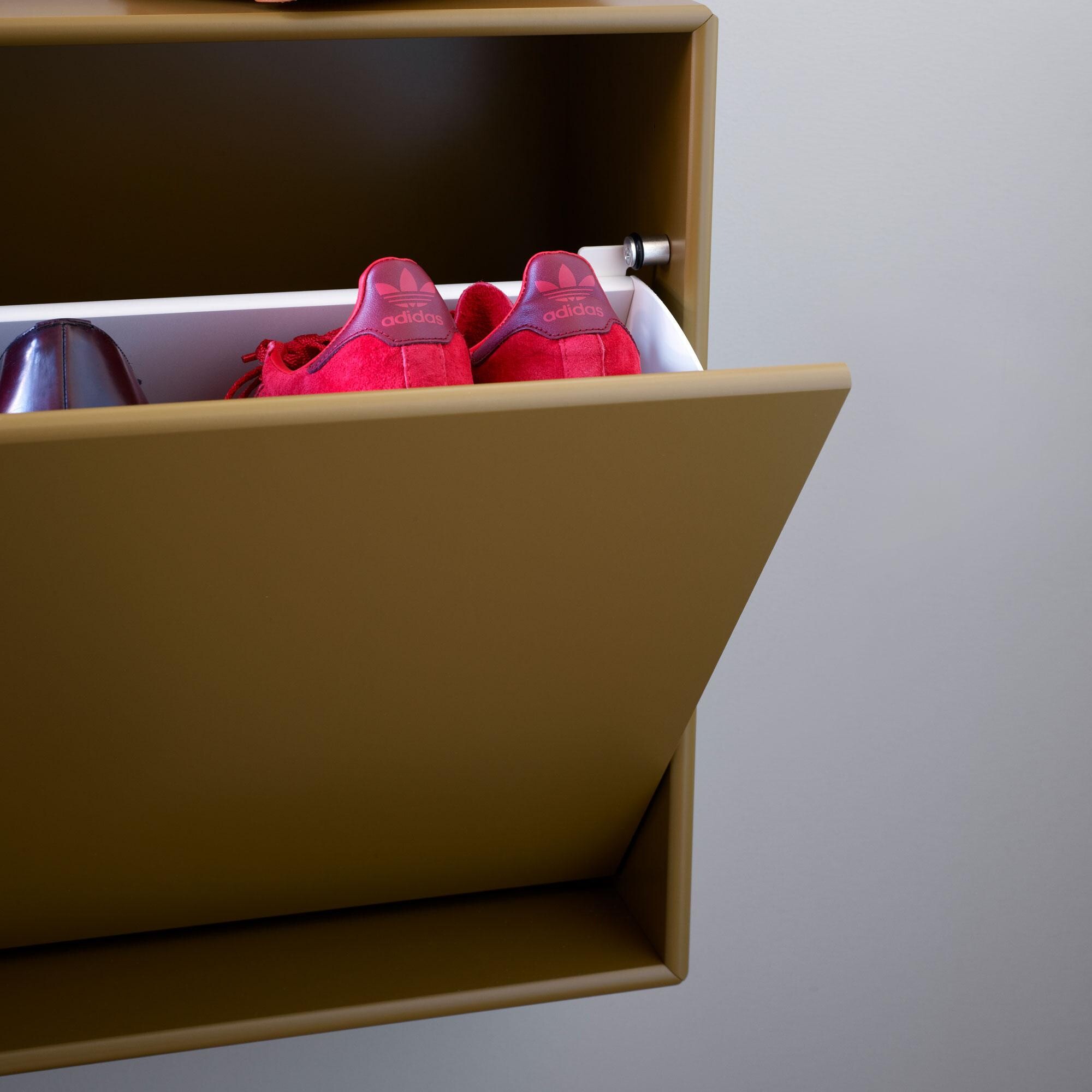 Hide Shoe Storage Box