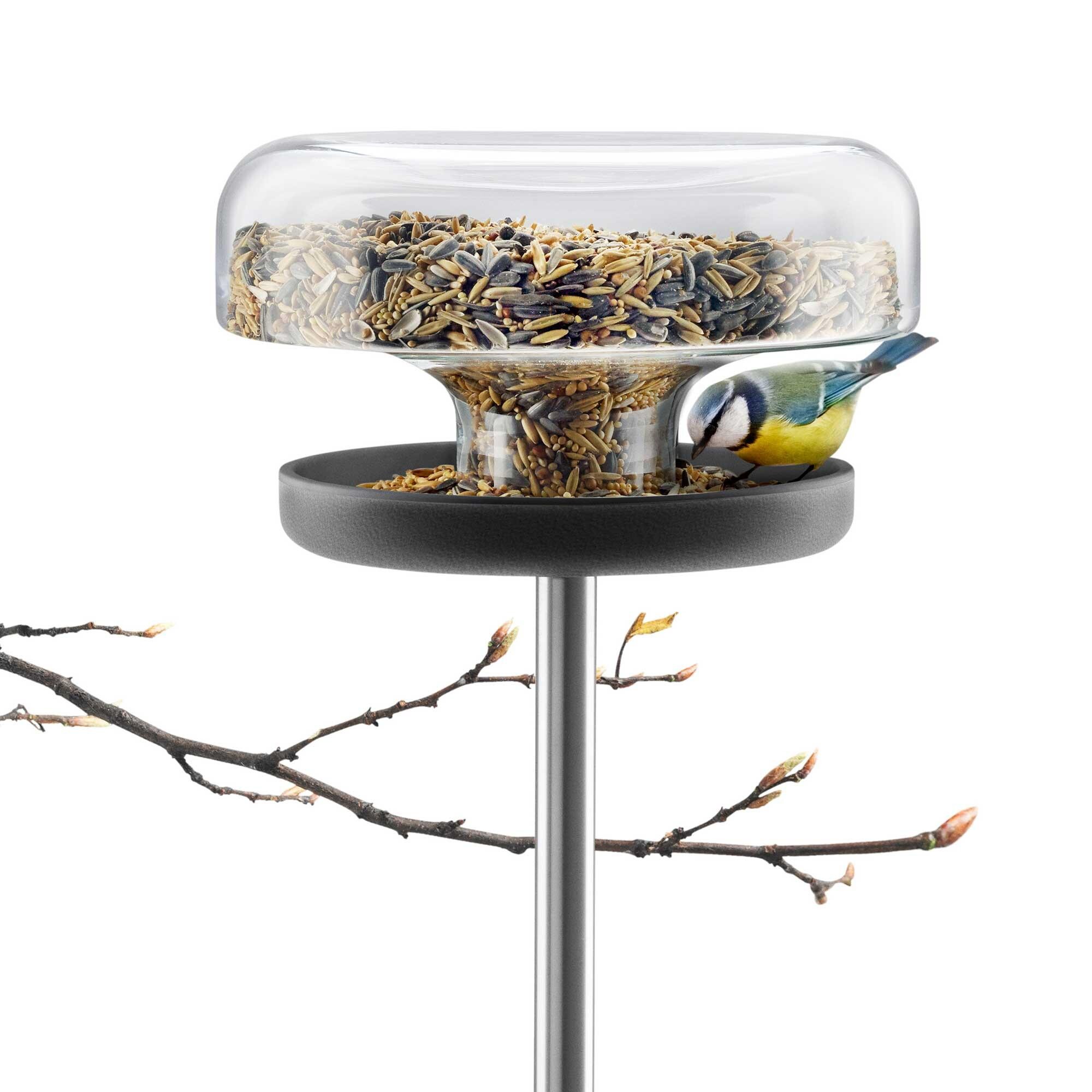 Bird Table