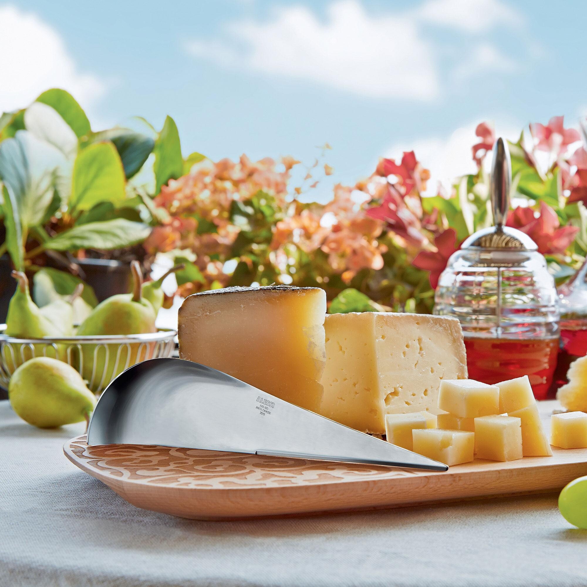 Antechinus Chesse Knife