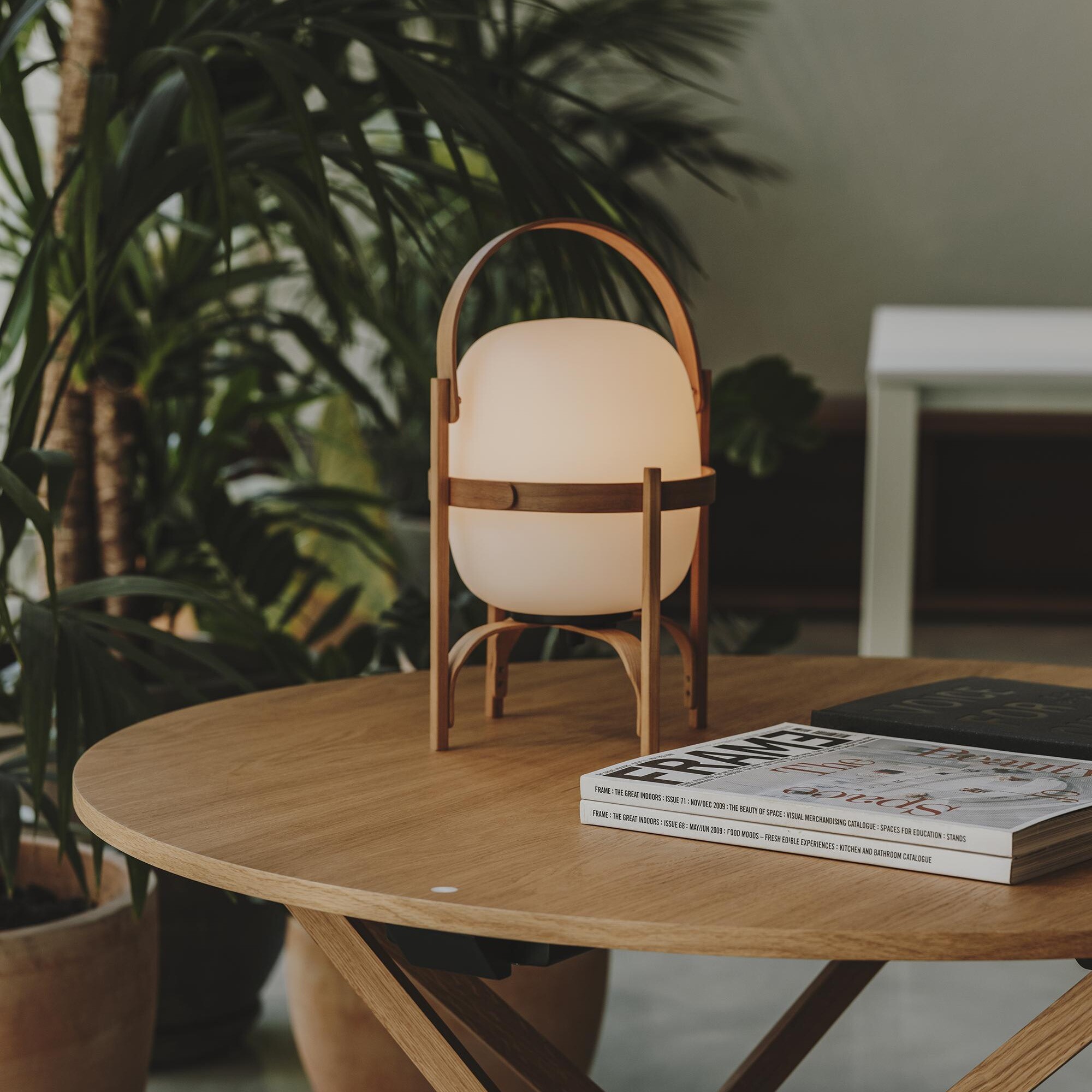 Cestita Batería LED Lamp with Battery Glass