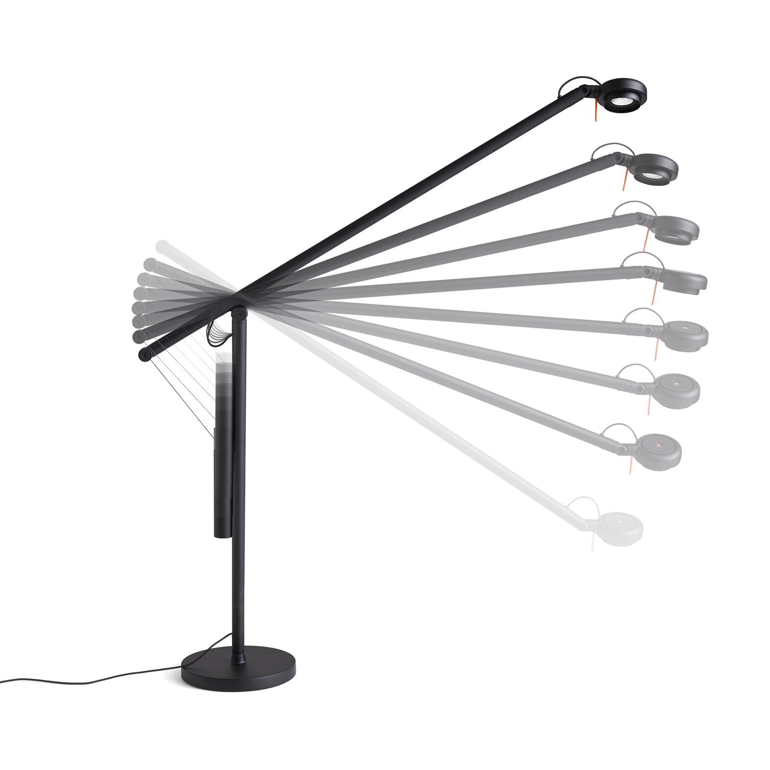 Fifty-Fifty LED Desk Lamp