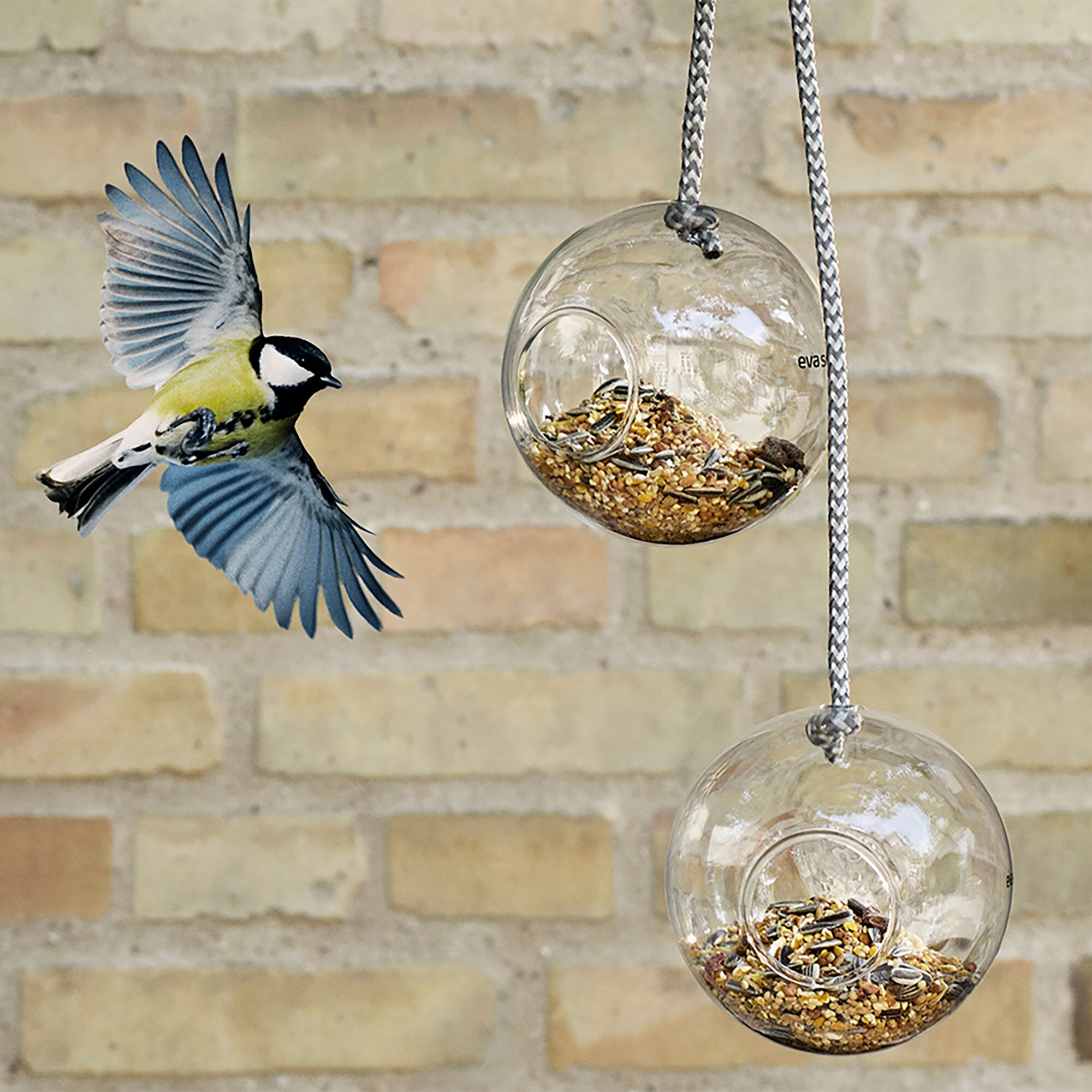Glass Bird Feeders Set of 2 Ø 10cm