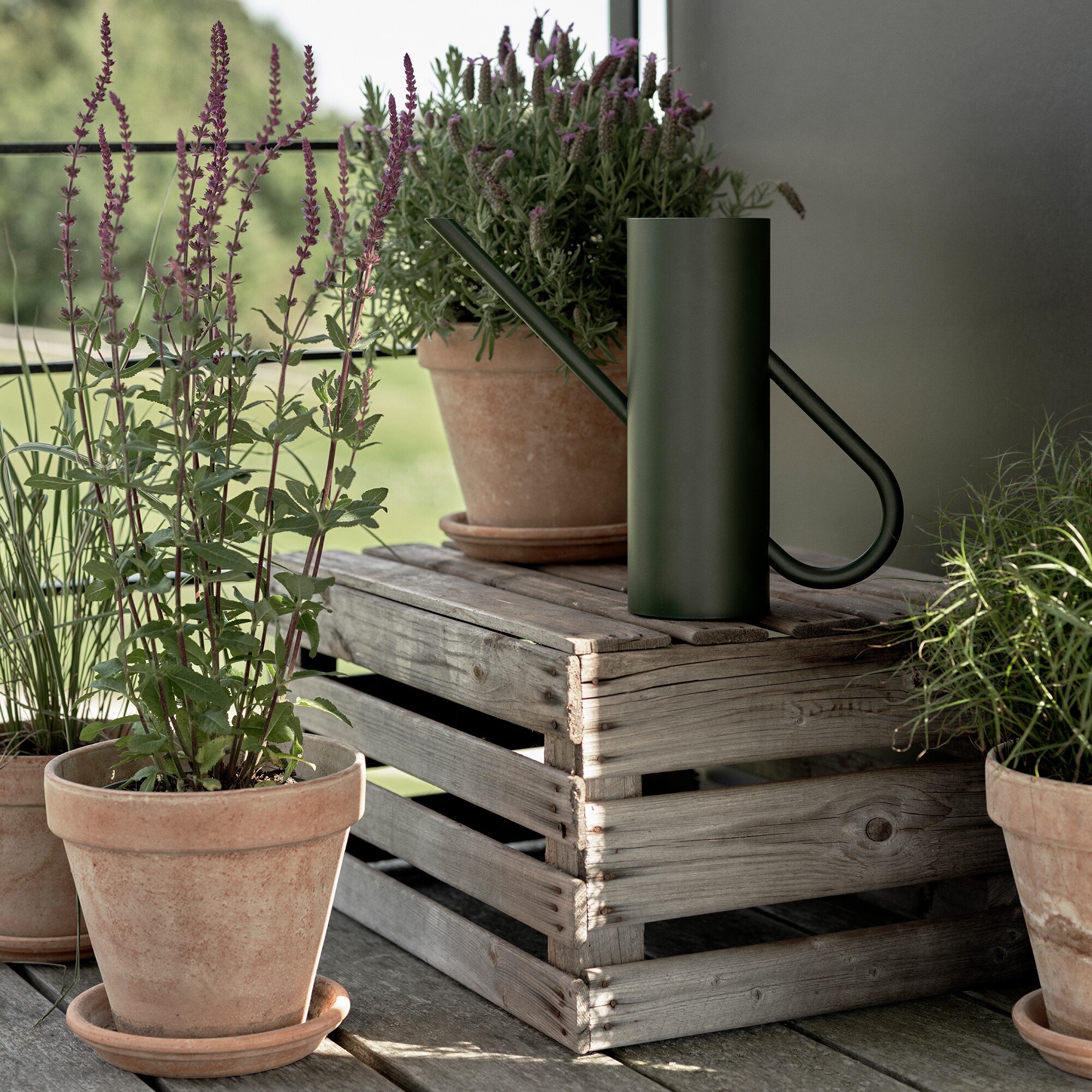 Bloom Watering Can 2L