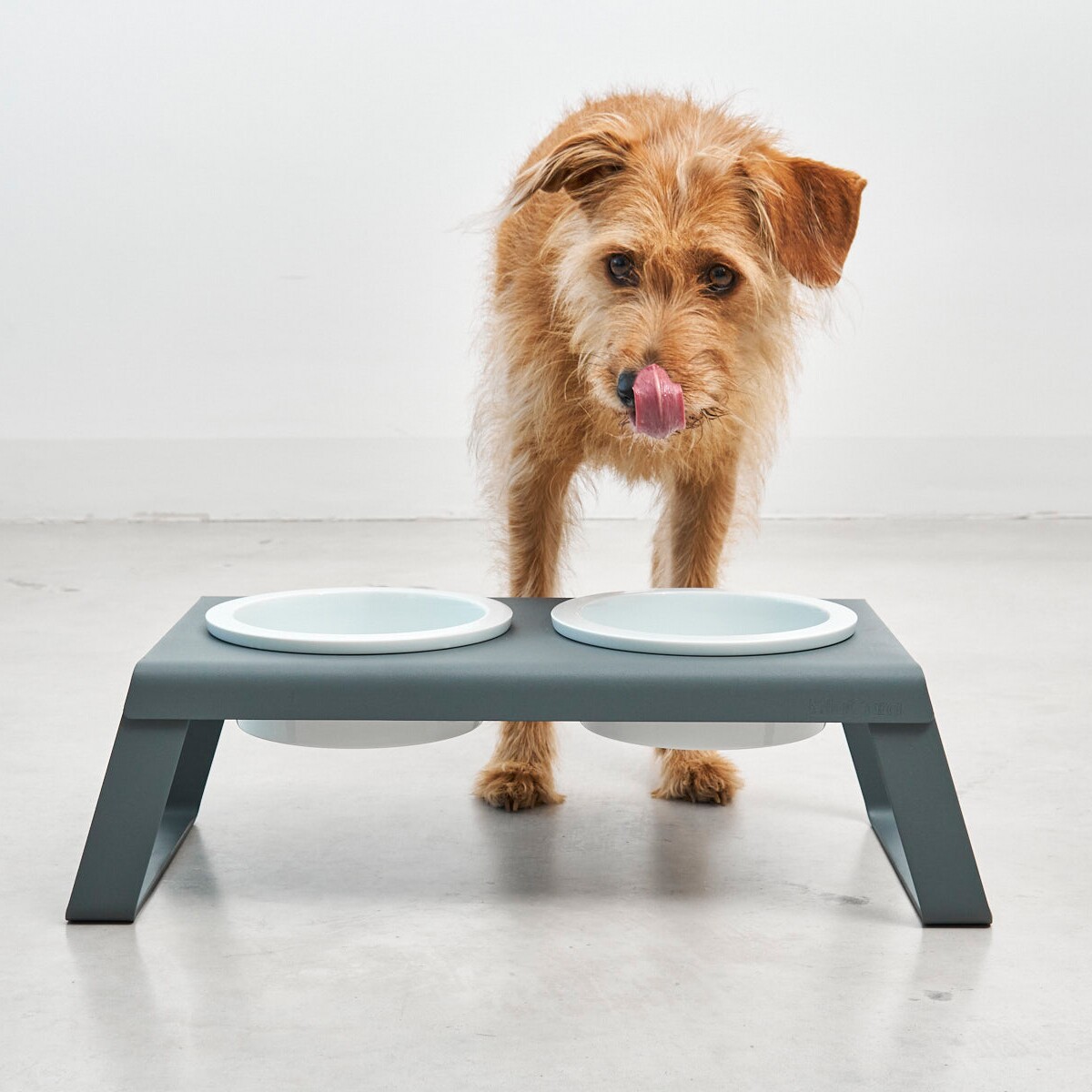 Desco Dog Bowl Stand with Porcelain Bowls M