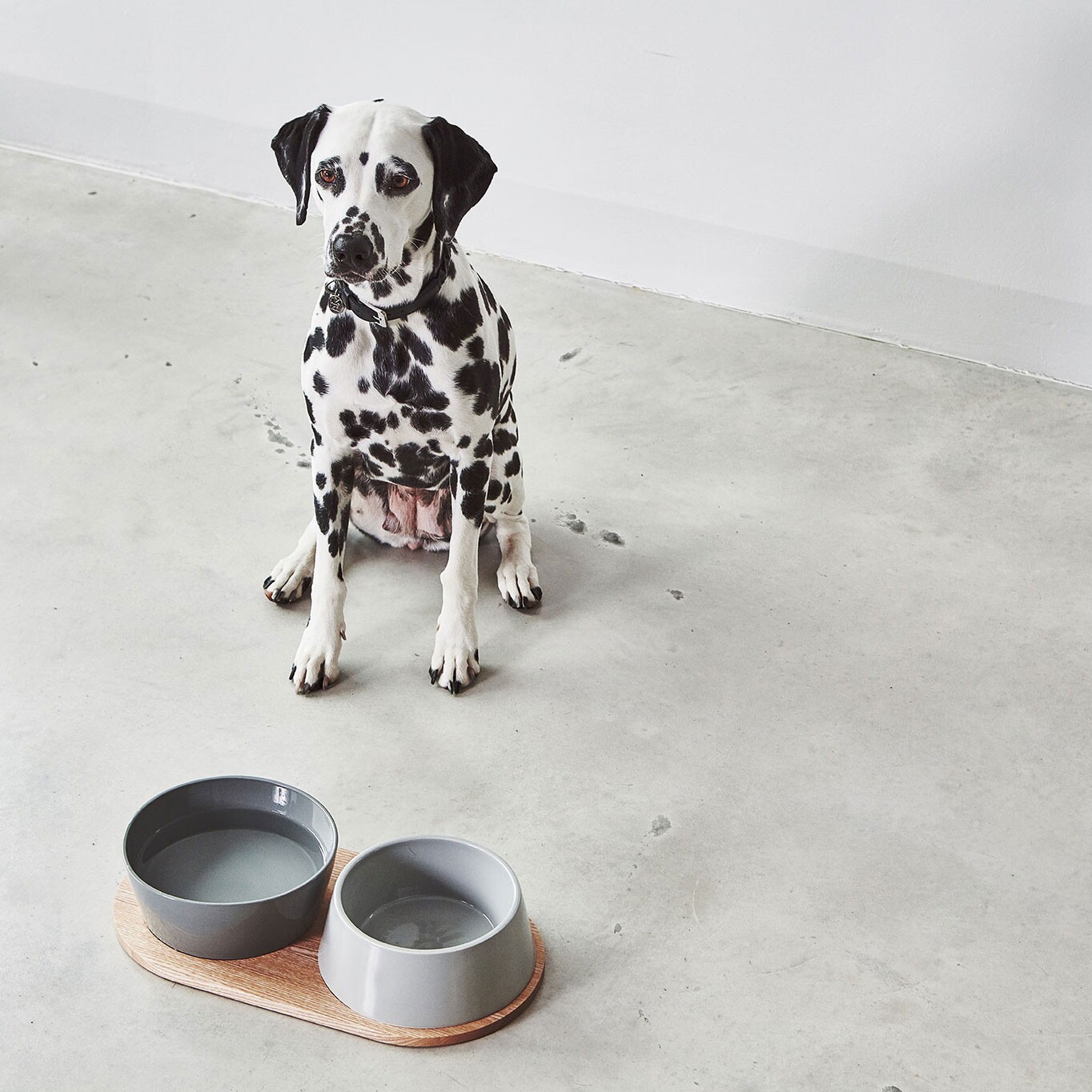Doppio Set of 2 Dog Bowls with Wooden Tray SM