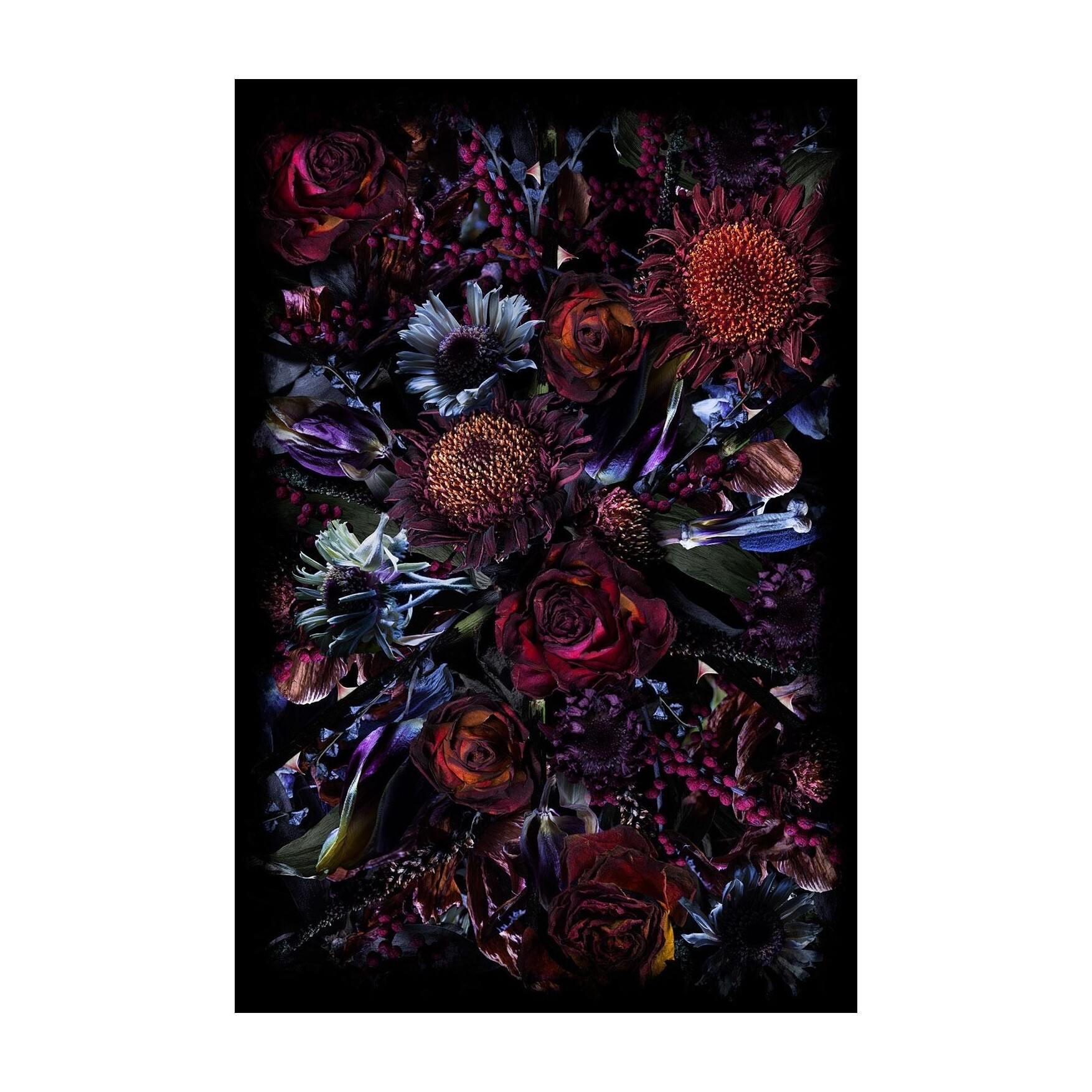 Fool’s Paradise Carpet Rectangle