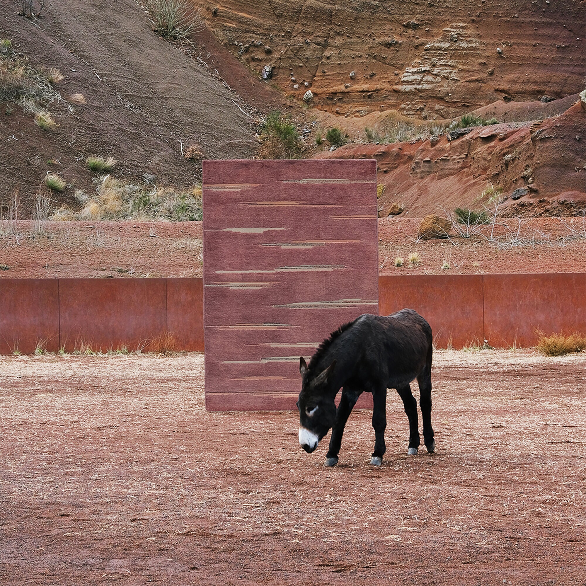 Colorado Wool Rug 200x300cm